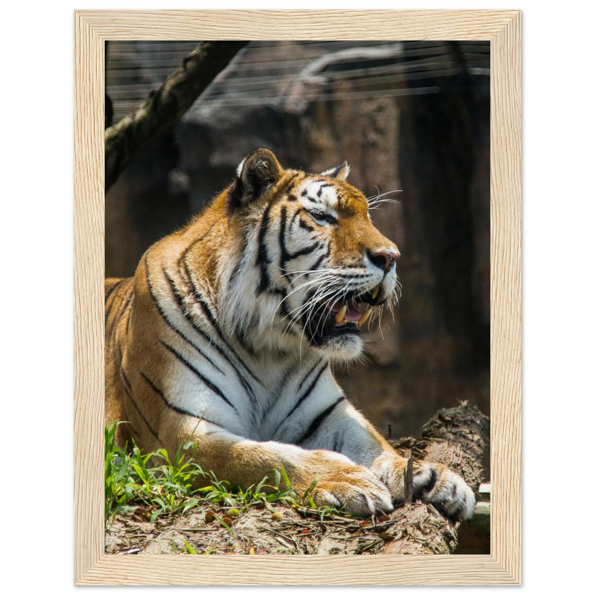 4ac71cf0-e7a7-43e5-81d9-c9fc5f354a01