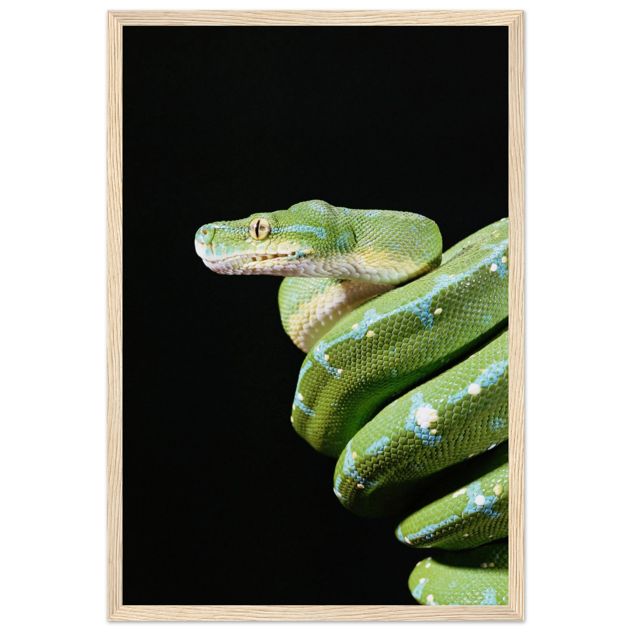 4ac9a1f0-b257-4f0f-8e62-8cb998be1eca