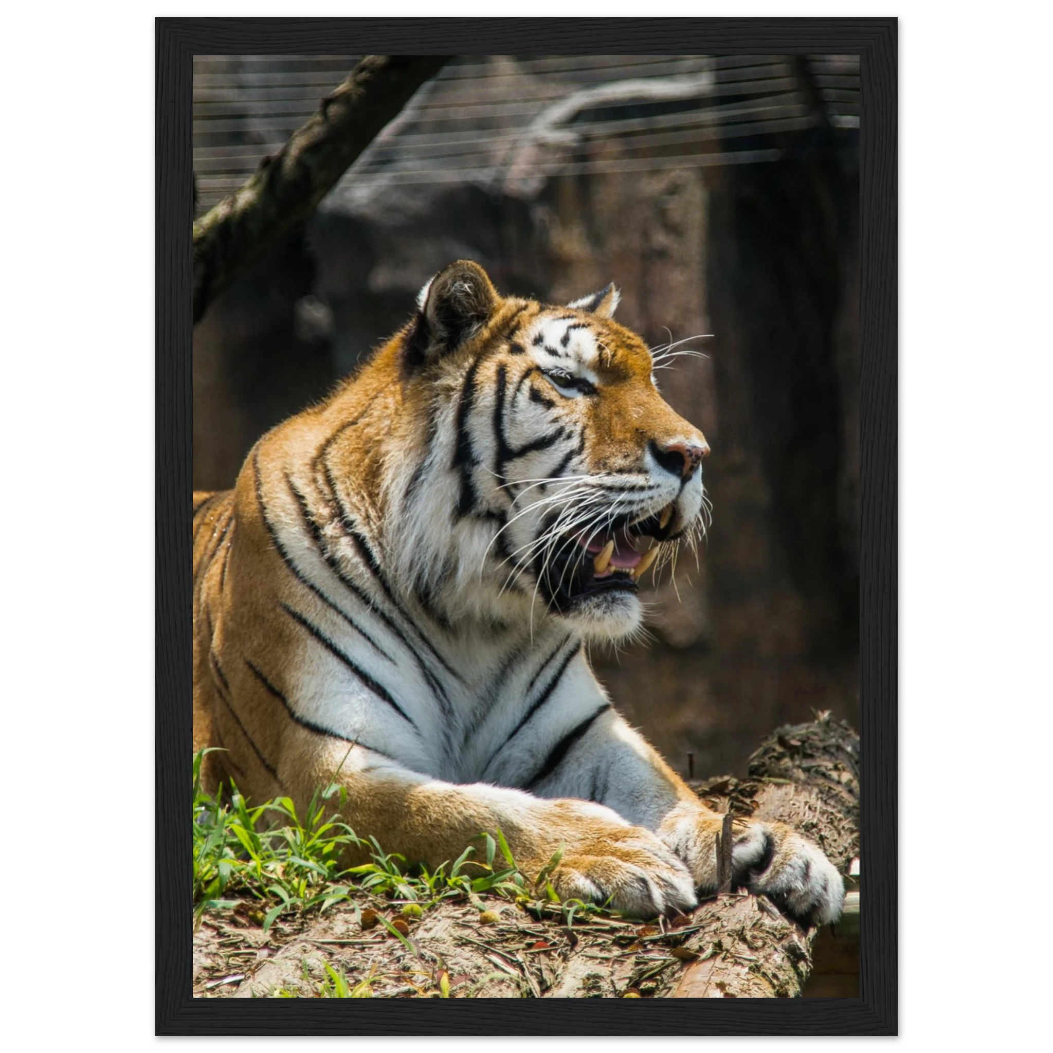 4af55ba5-f6d9-4b83-b4ca-c5c1a5231f73