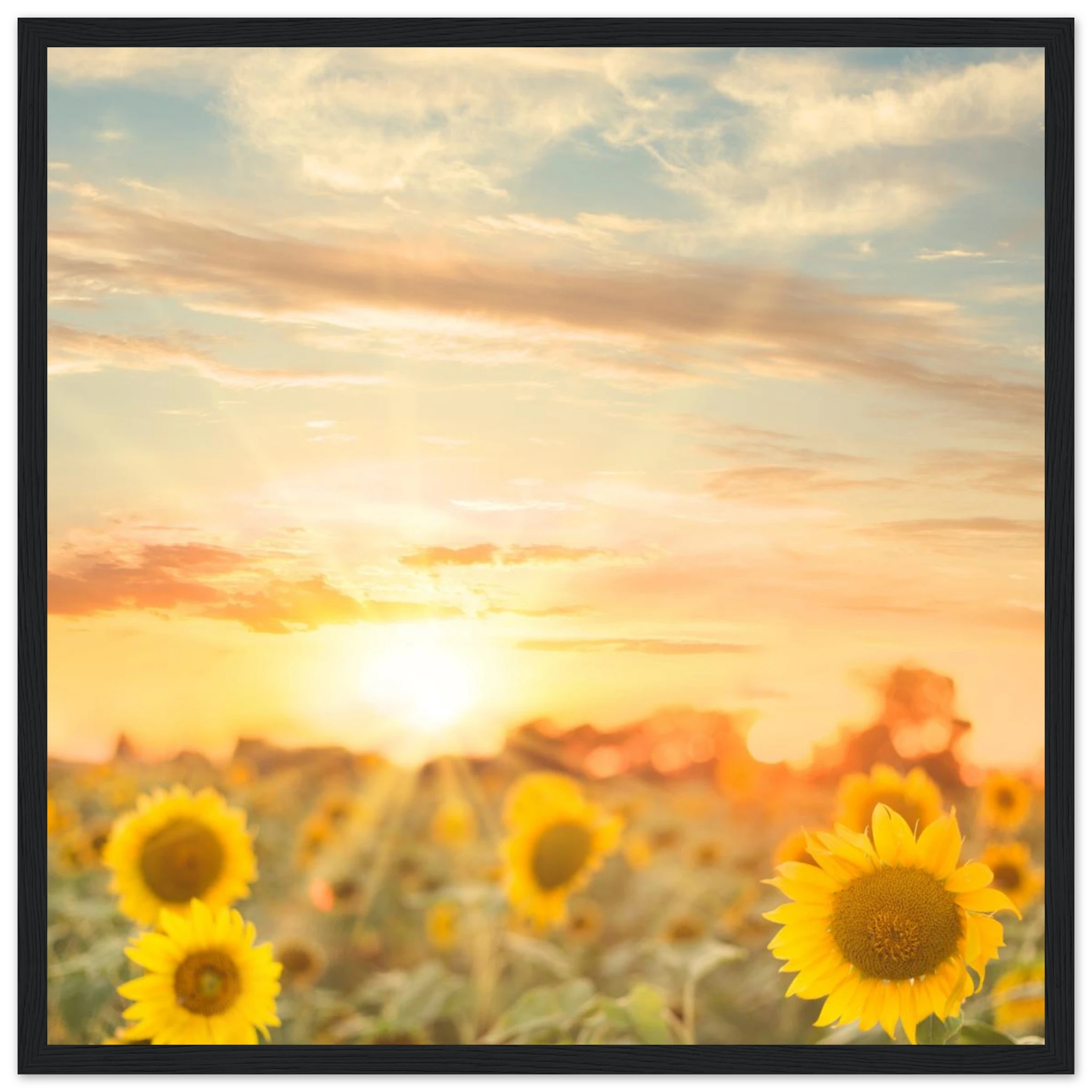 4b3a8f22-4635-4dc7-b566-92a0f0cecf06