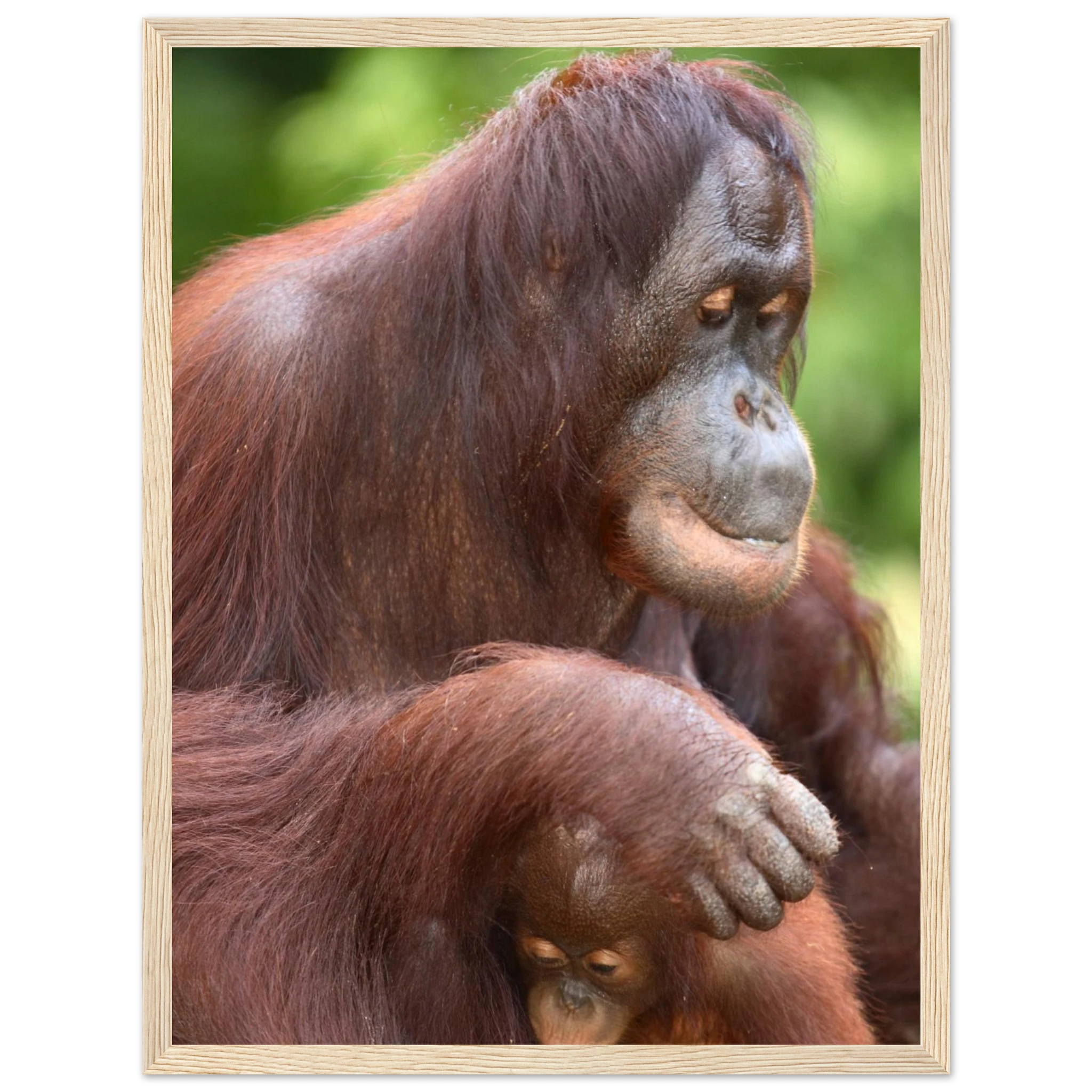 4b4609d7-281c-4938-9b01-941994b99e6e