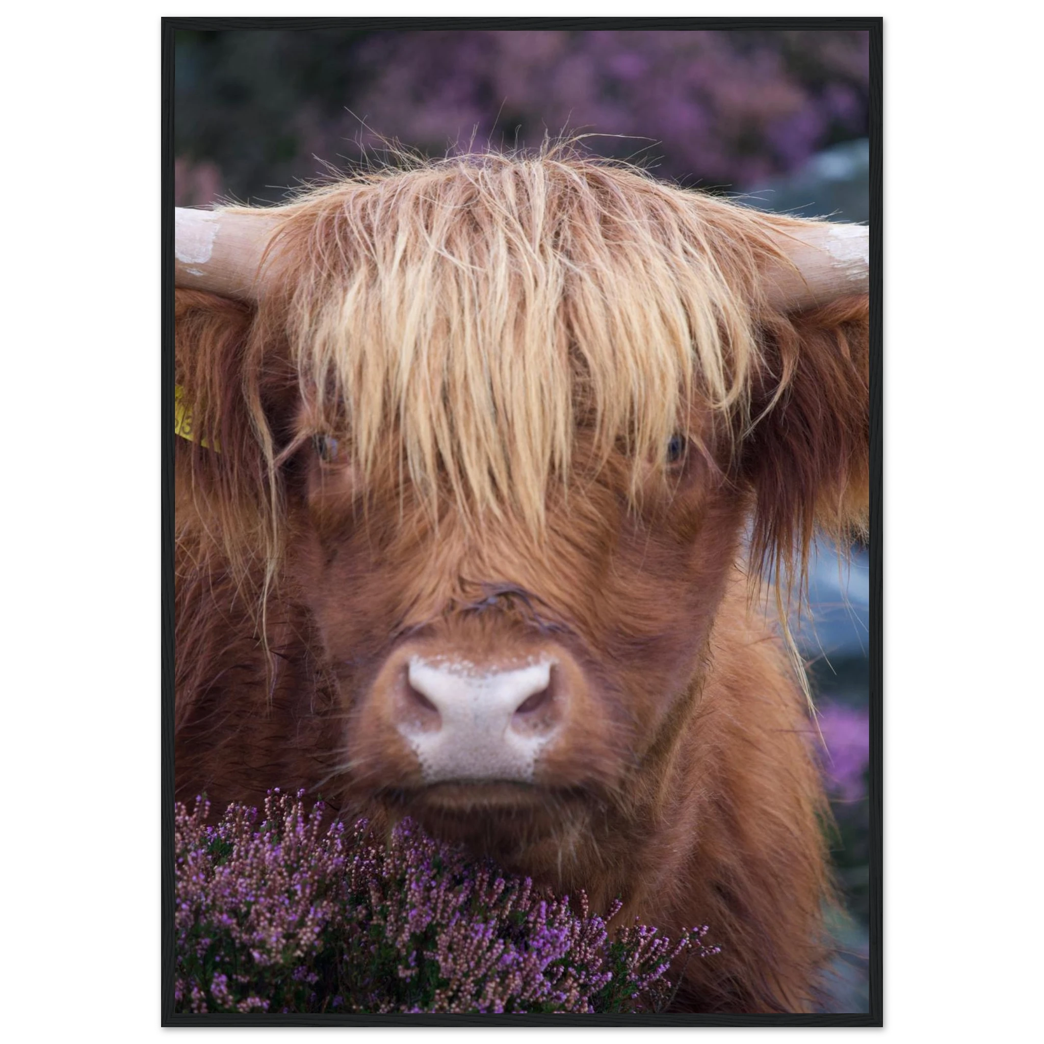 4b6453b5-db6e-4e09-bb83-02096e9c2cbe