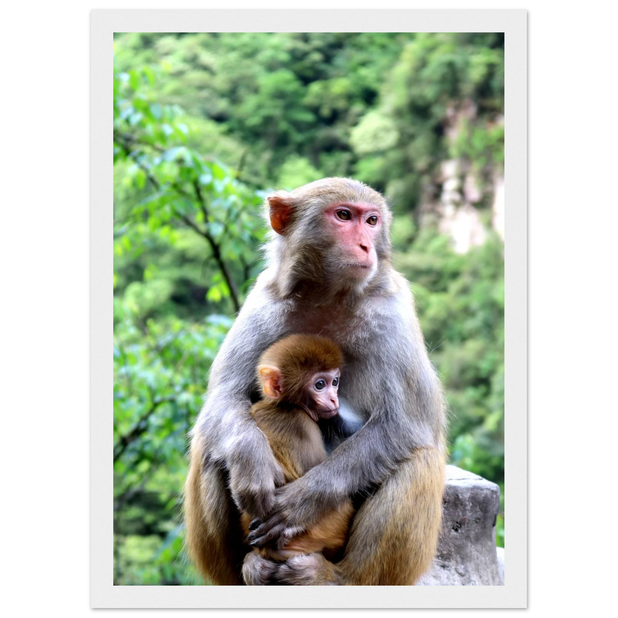 4b7609aa-99e5-4f47-ae83-dbaf42e9f4a5