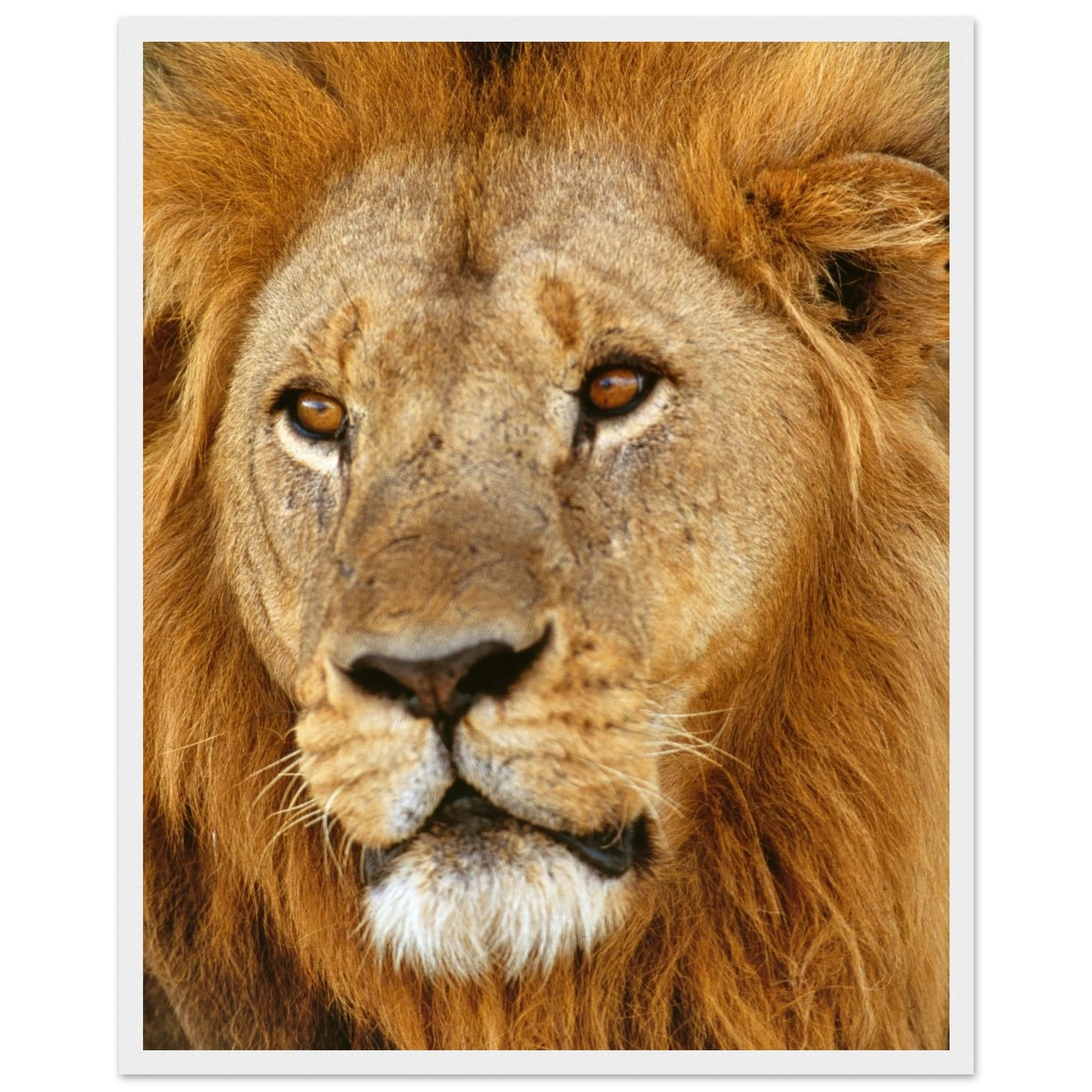 4b79c642-909e-451d-9b5a-4a395621b34f