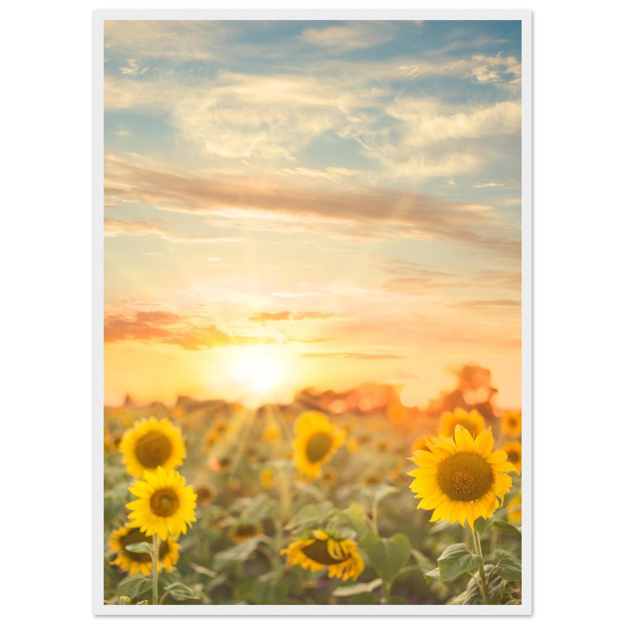 4b93d3b1-634f-4aba-81e5-1978b49150ce