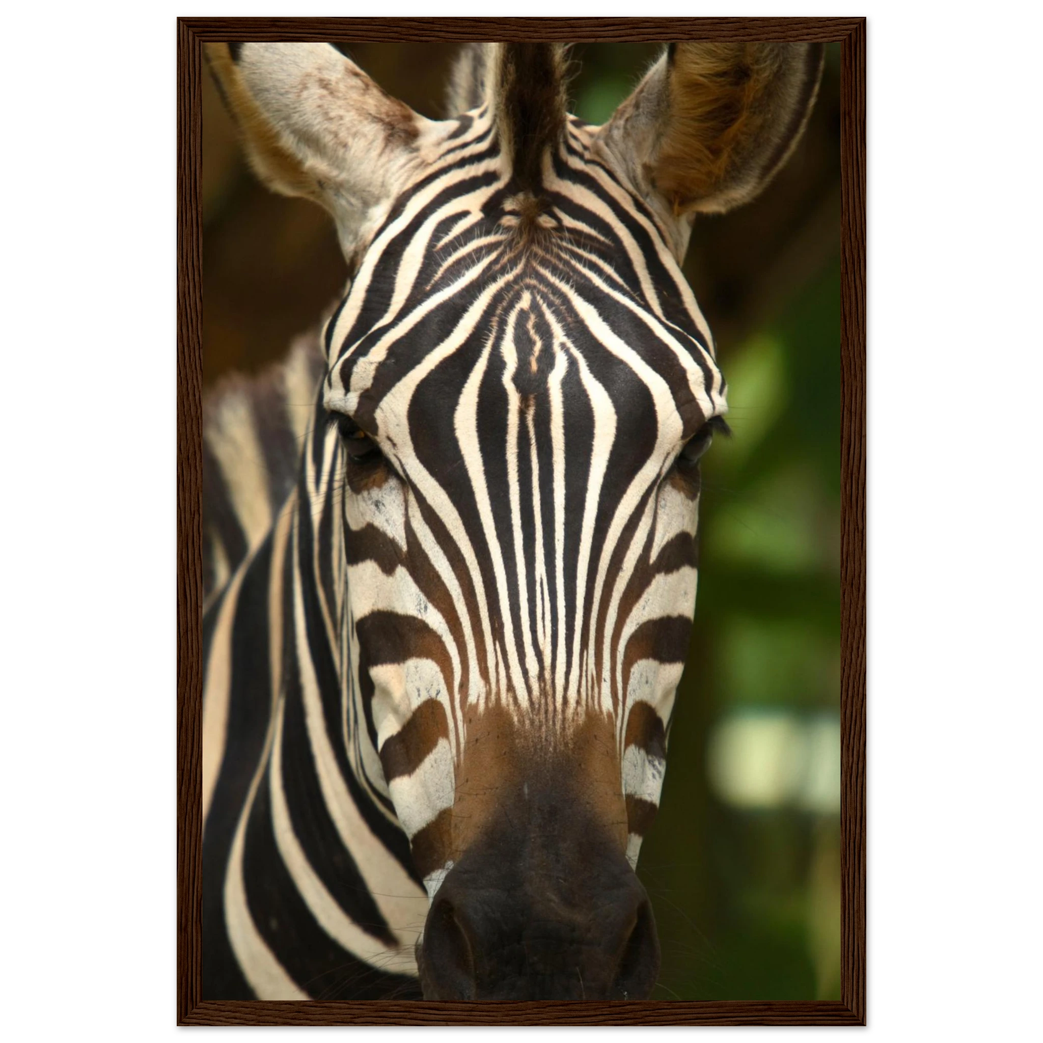 4baa8353-22c2-4d57-a690-59b28f8738b8