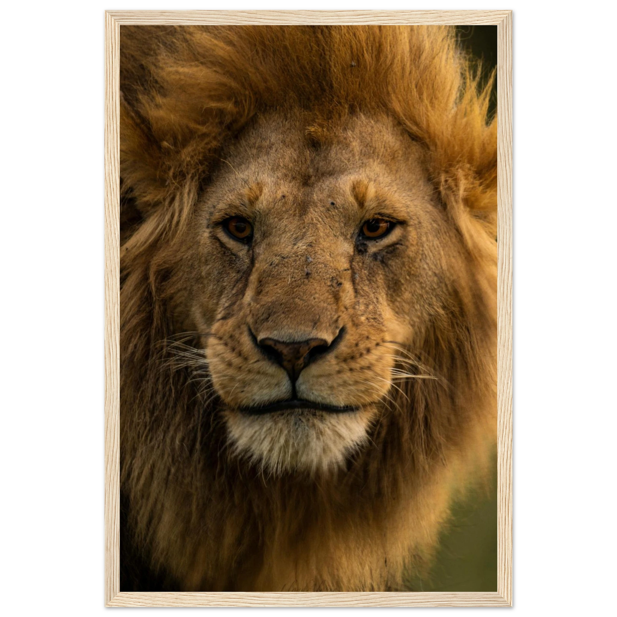 4bae94cb-640a-4225-bb49-9ebdc1fa17c9