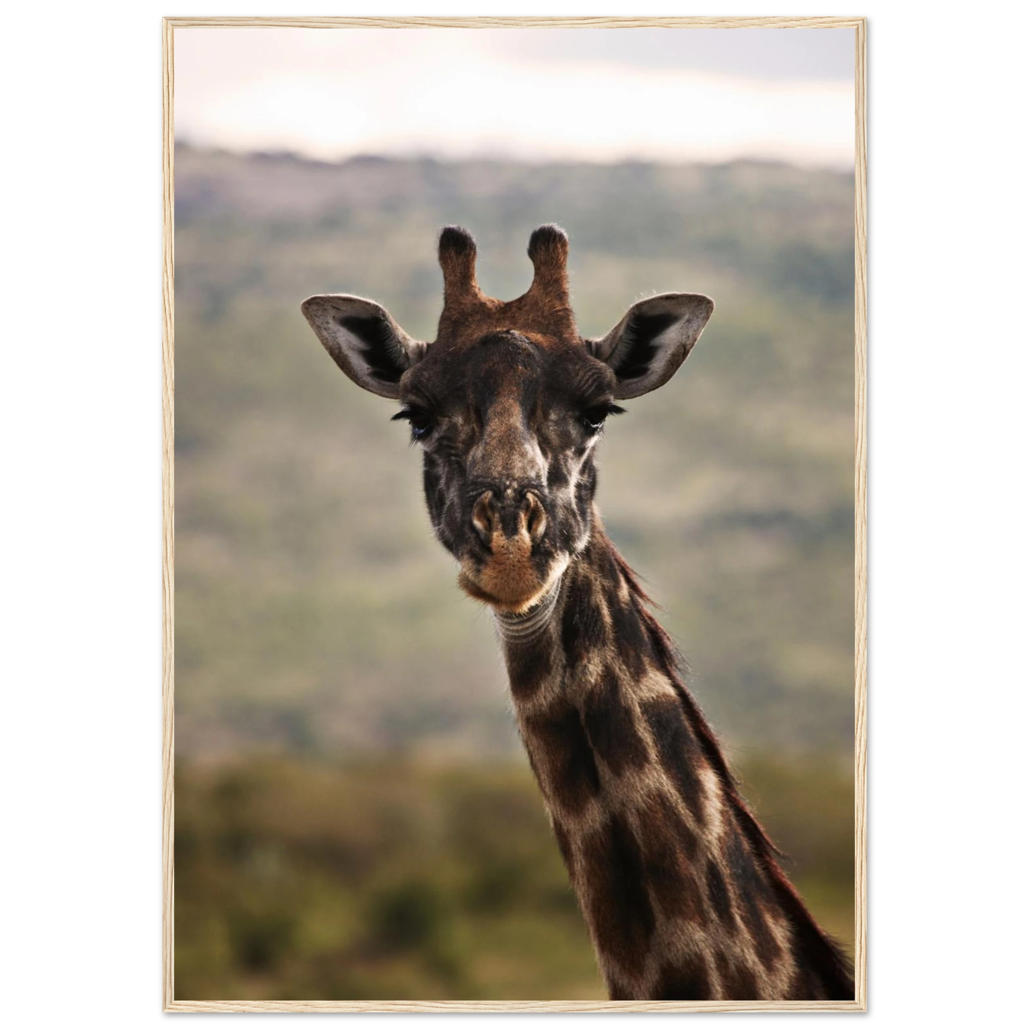 4bc0c135-b5a0-41a4-8a0c-a562c3909540