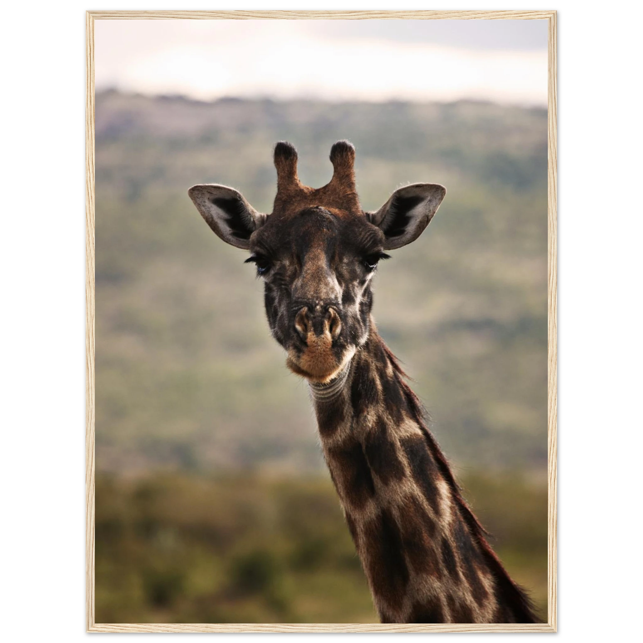 4bc7f8e7-bbed-41cb-8e51-21de838563f9