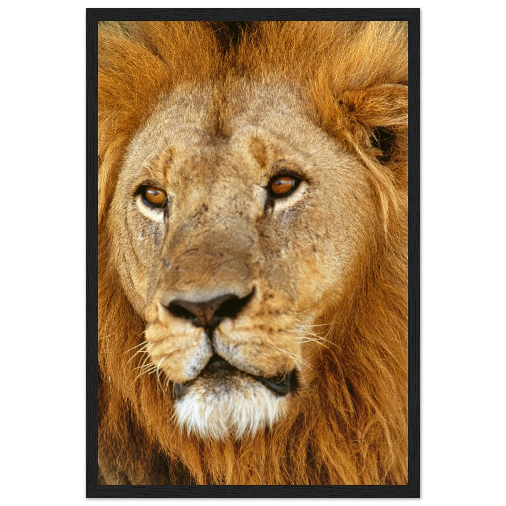 4bd82073-c255-4cee-af5d-cae39a5e35ec