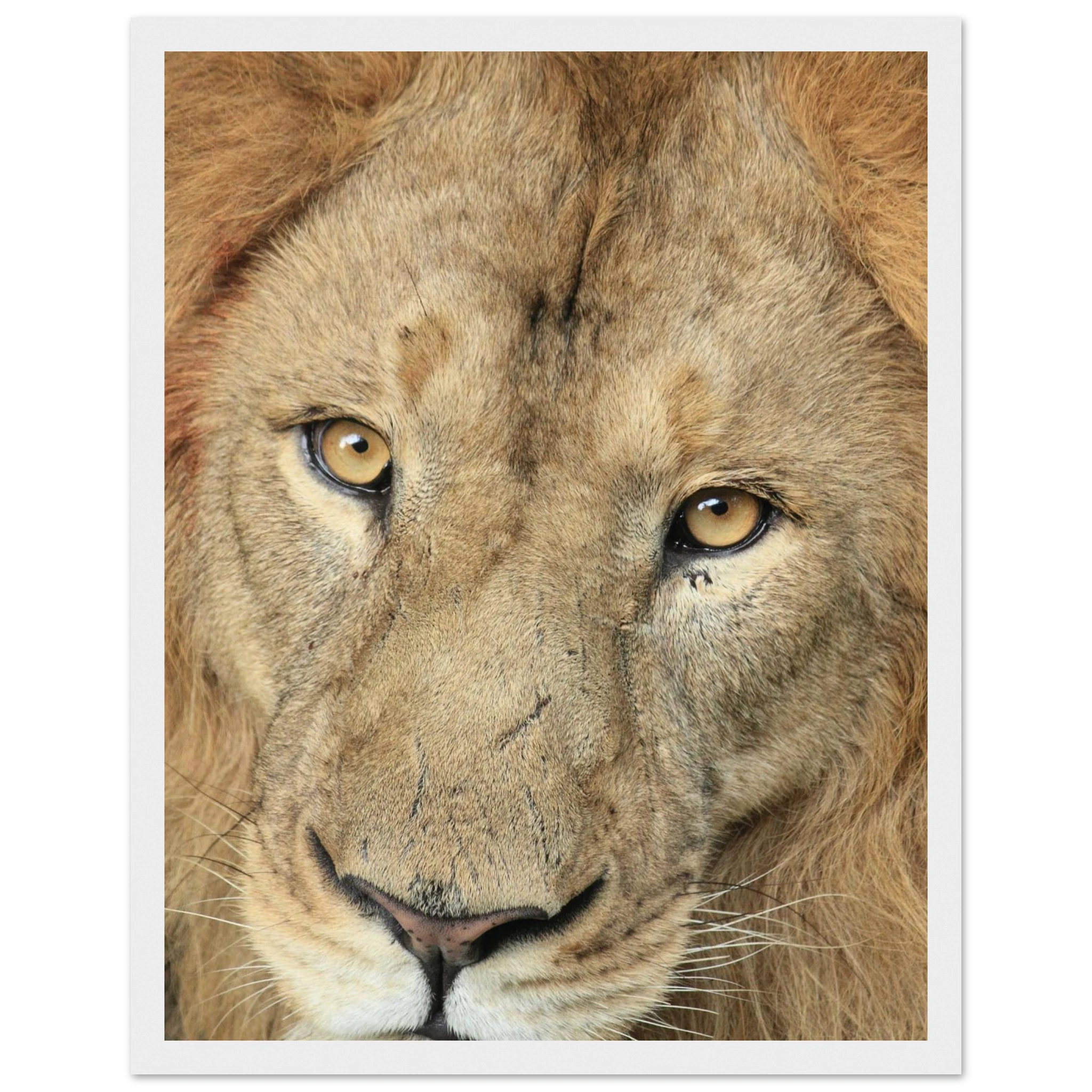 4be14a86-fb7e-4e0f-990c-7b334b54d890