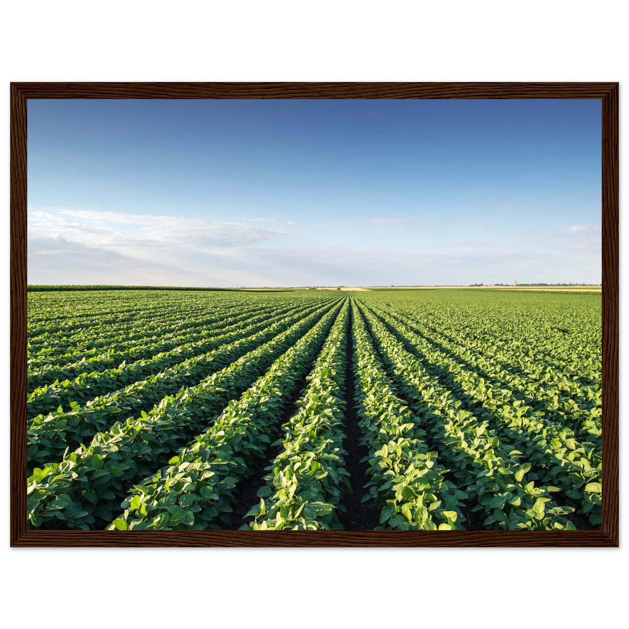 4bef832a-e0fb-41c6-a667-5f2b576b024e