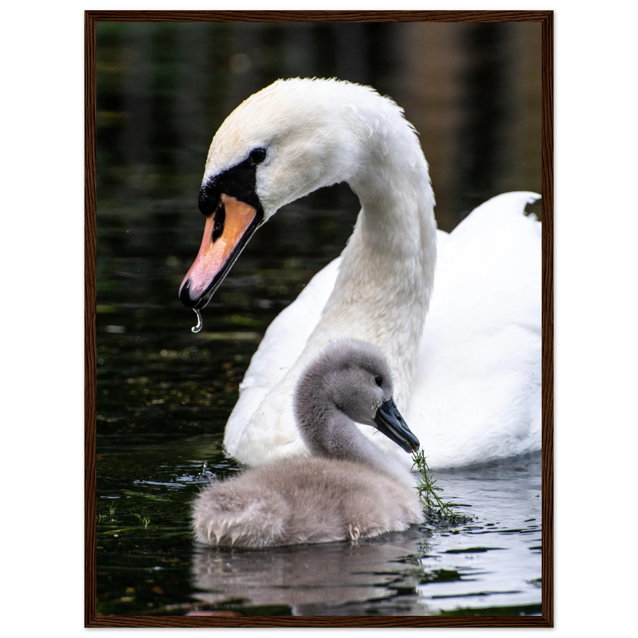 4bf99f4d-9d8c-40b5-9346-f4930a19f5f6