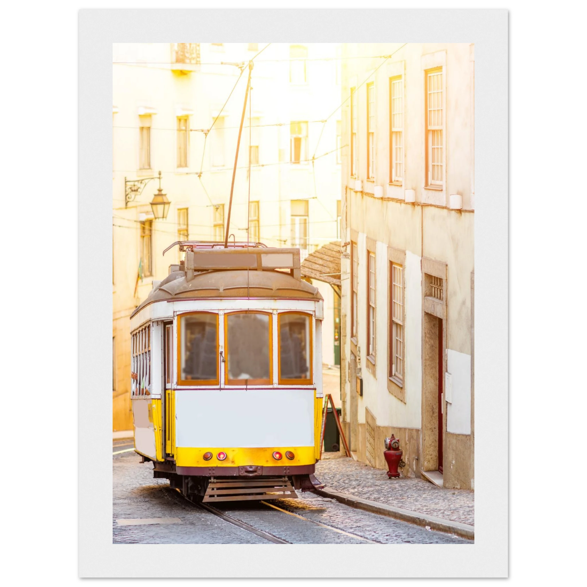 4bffa052-fcaf-4b88-b272-68bf5eafd454