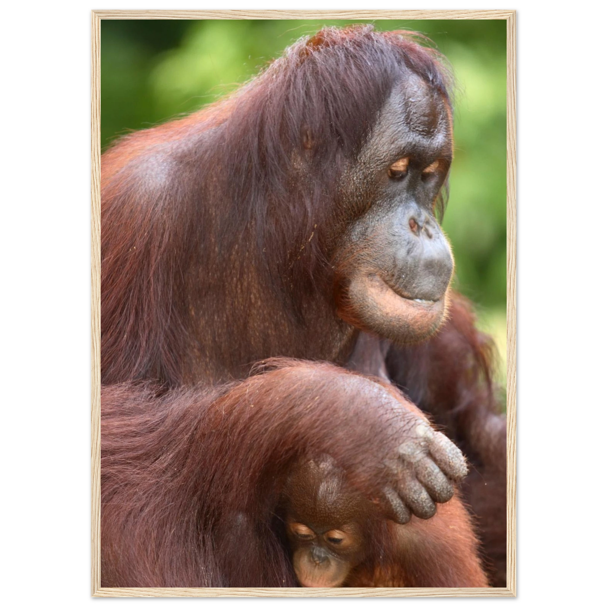 4c021113-e0e8-4bc9-8410-36cd54ee2c26