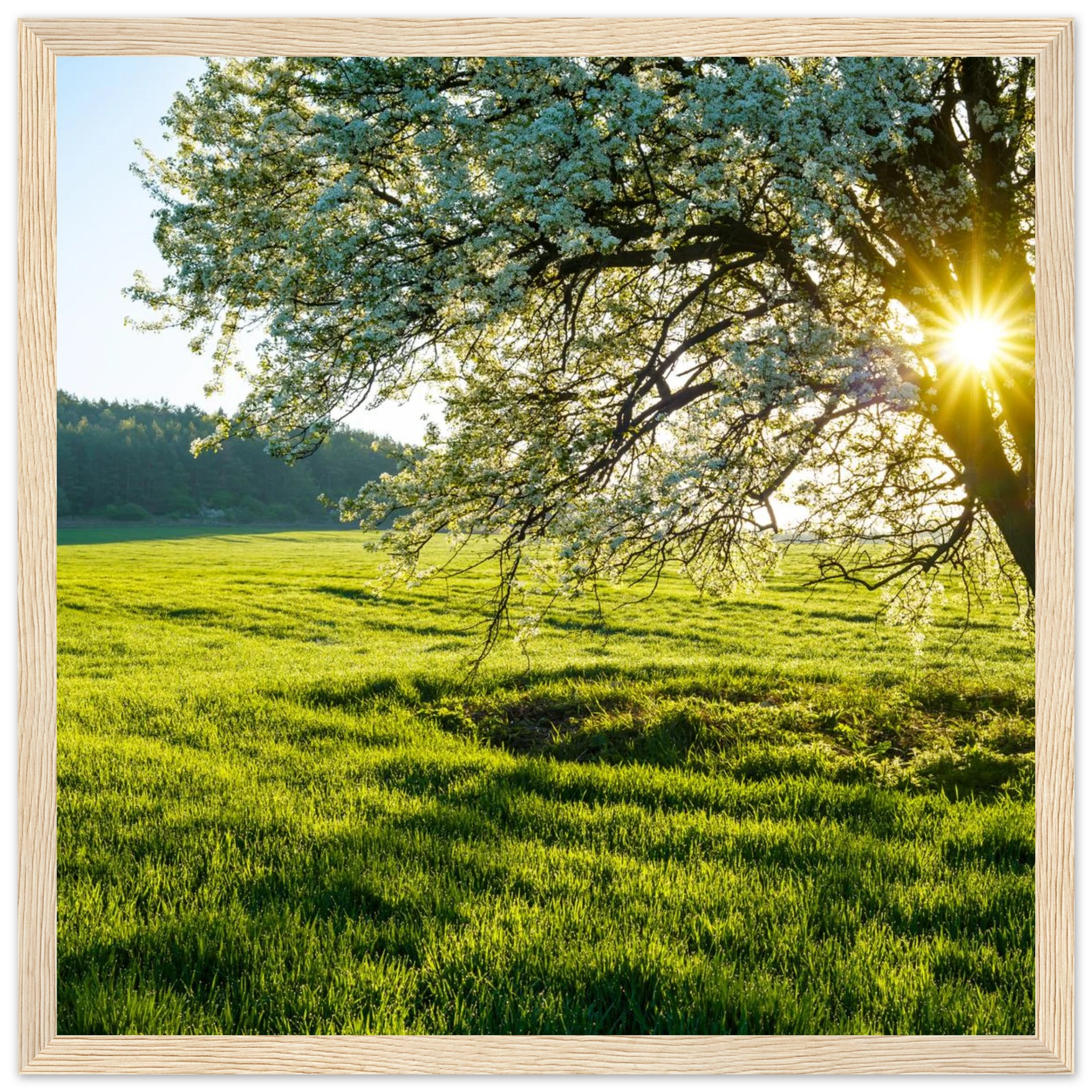 4c0952f4-ecd3-4d28-a1b0-8312f147b64d