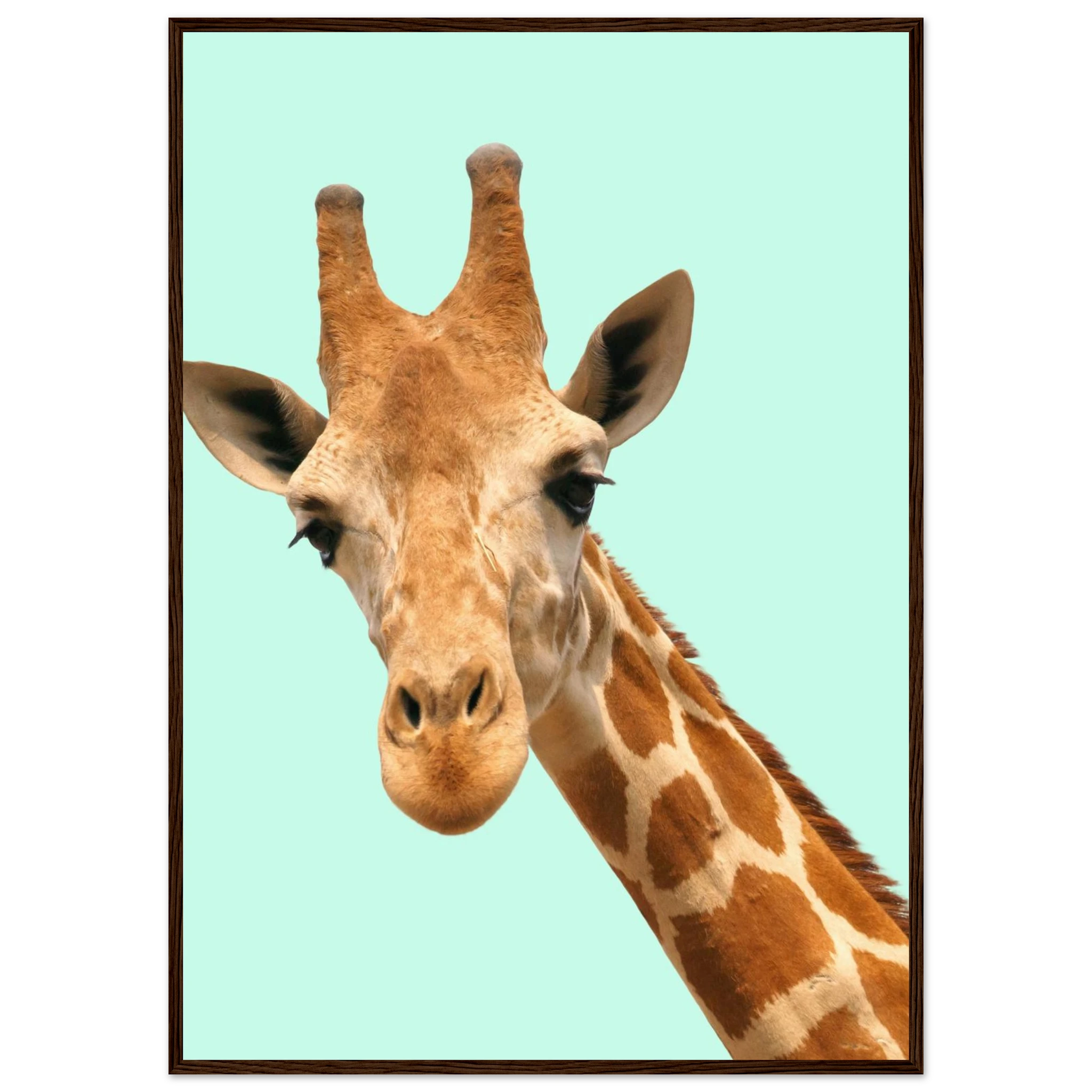 4c1686fd-c225-4a1a-bca8-0a2decd8cbf2