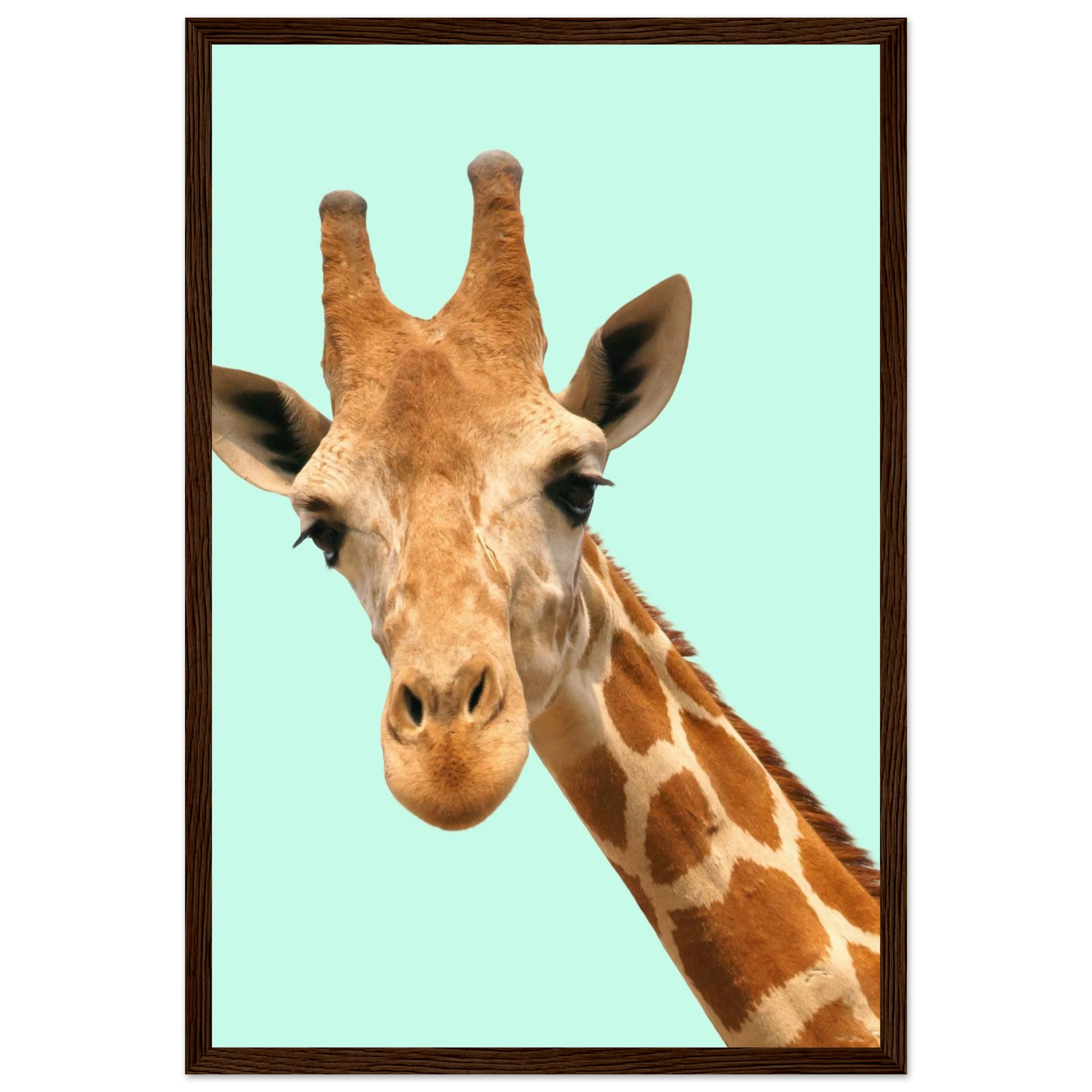 4c1d979b-c002-430f-8ae9-c6dcc0a5822e