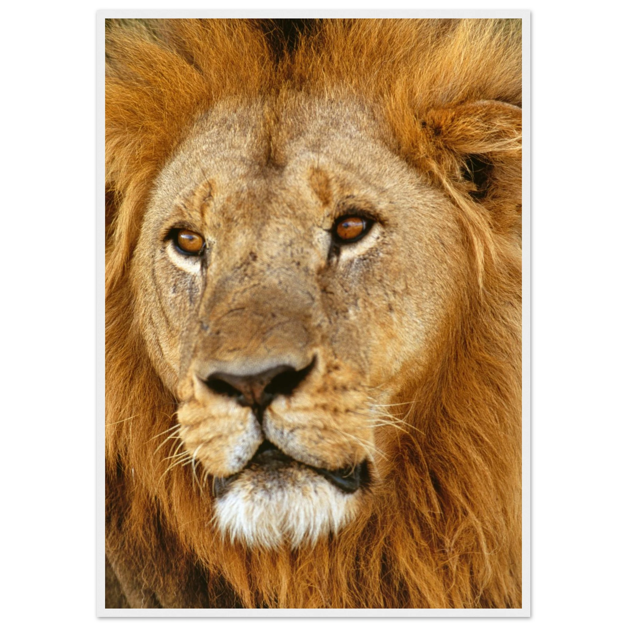 4c50bdc9-3679-4651-bcb0-1a097200b47c