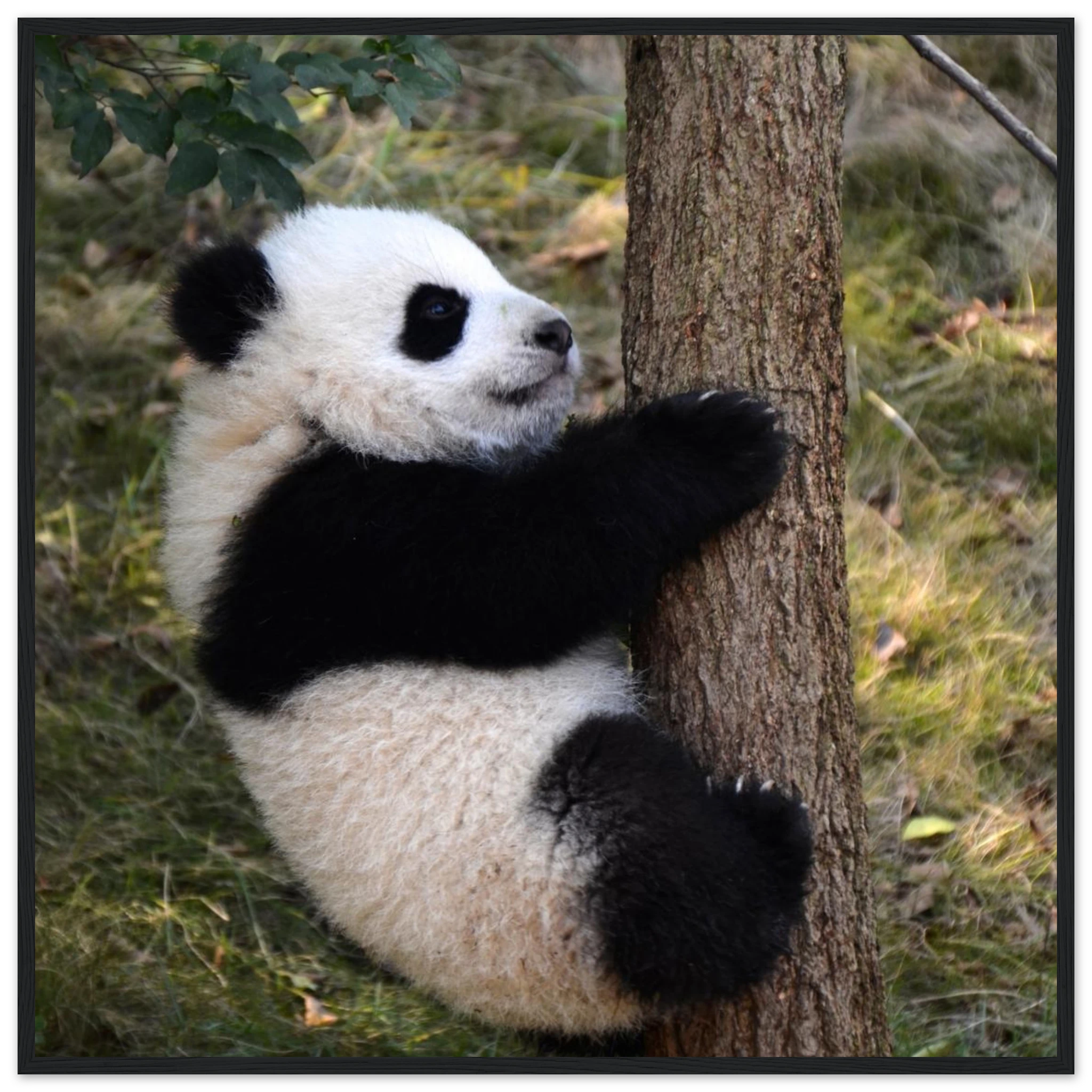 4c53bab7-1e97-4155-b715-dfc1d2dbac7b