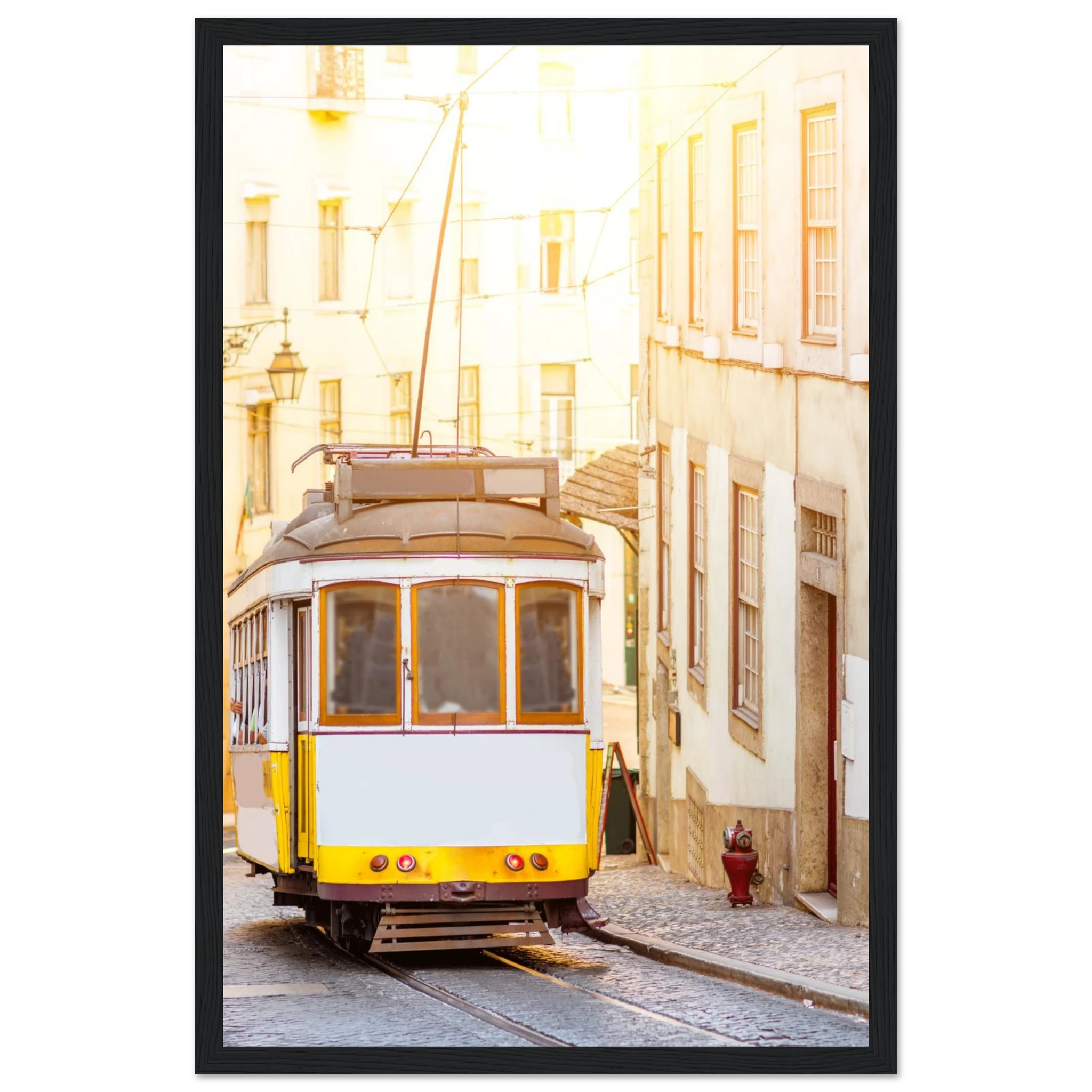 4c59804b-4538-4d20-a1cf-63251d1a8c69