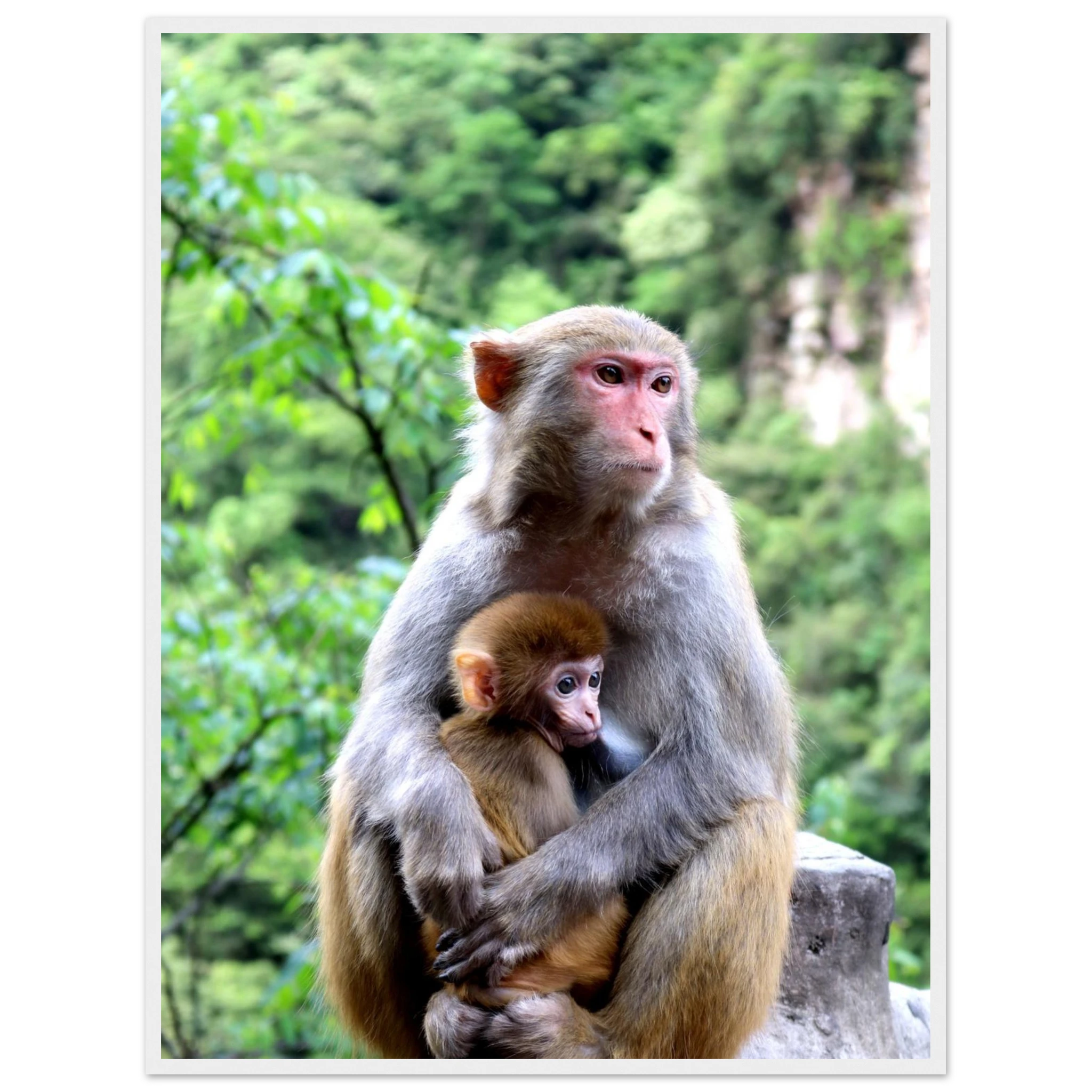 4c616b3d-c969-4516-b188-06ab8f99f246