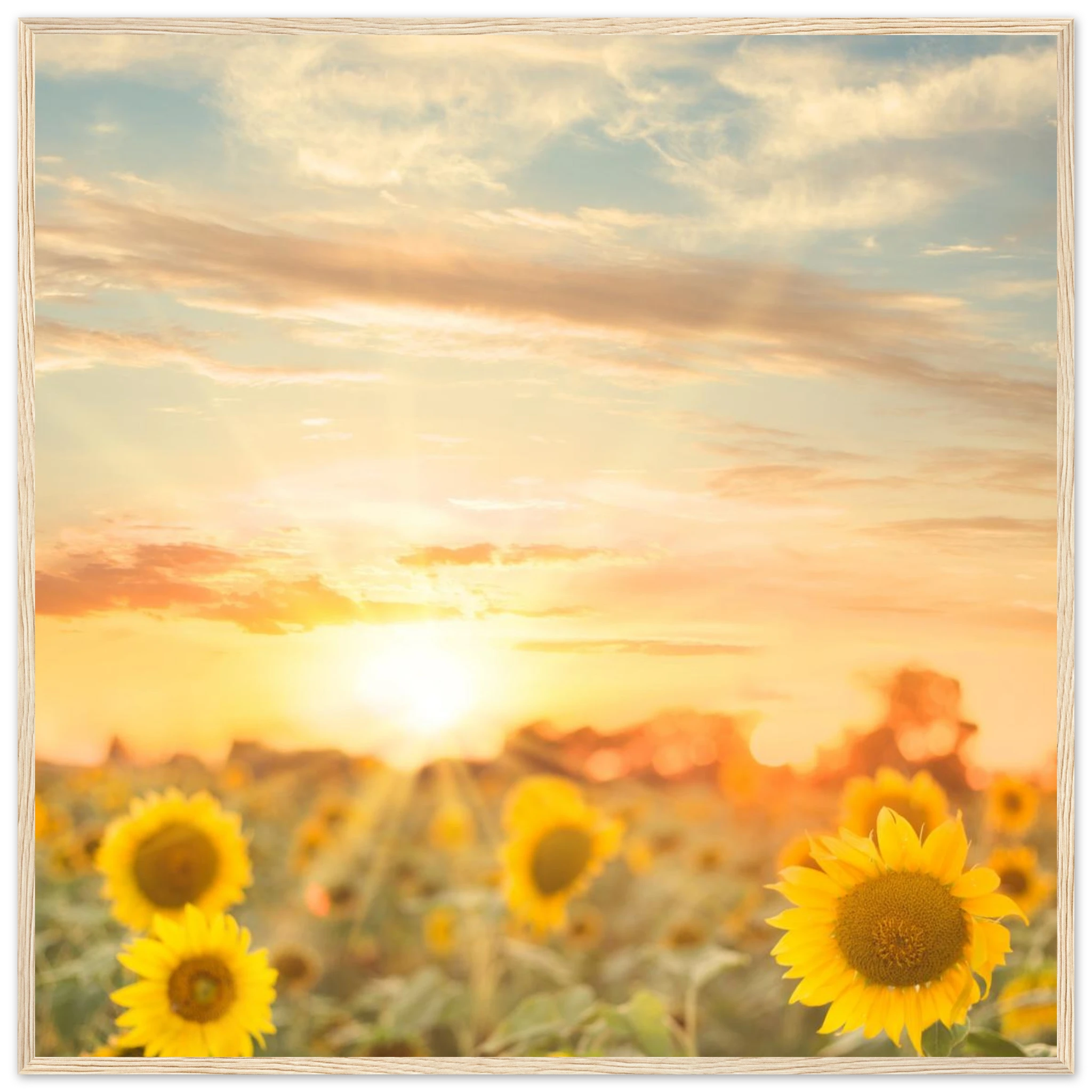 4c7ef308-c6c7-4d74-8fa7-21ecec9e2b58