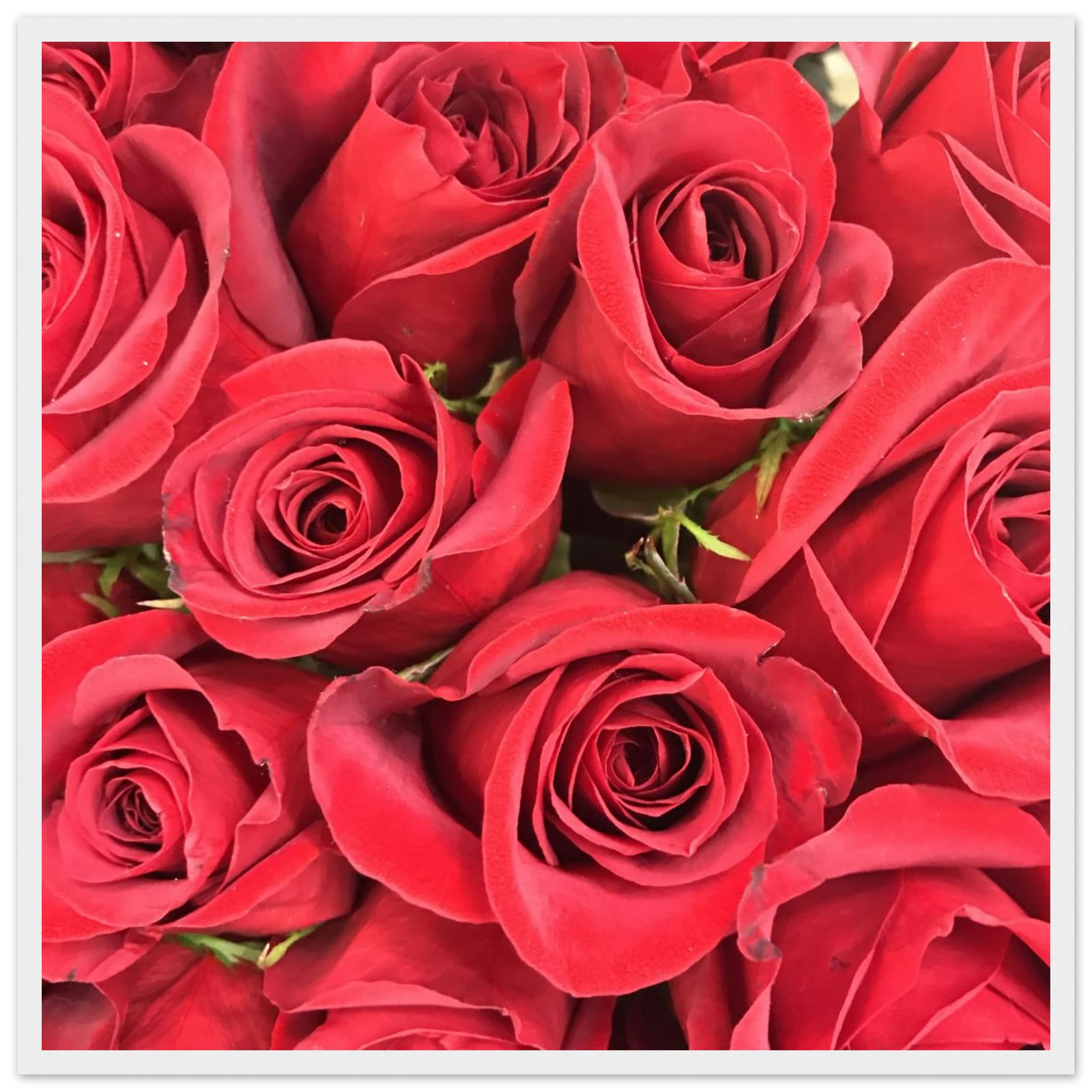 4c839d4a-482b-4df0-81a1-c7f80e7e9b95