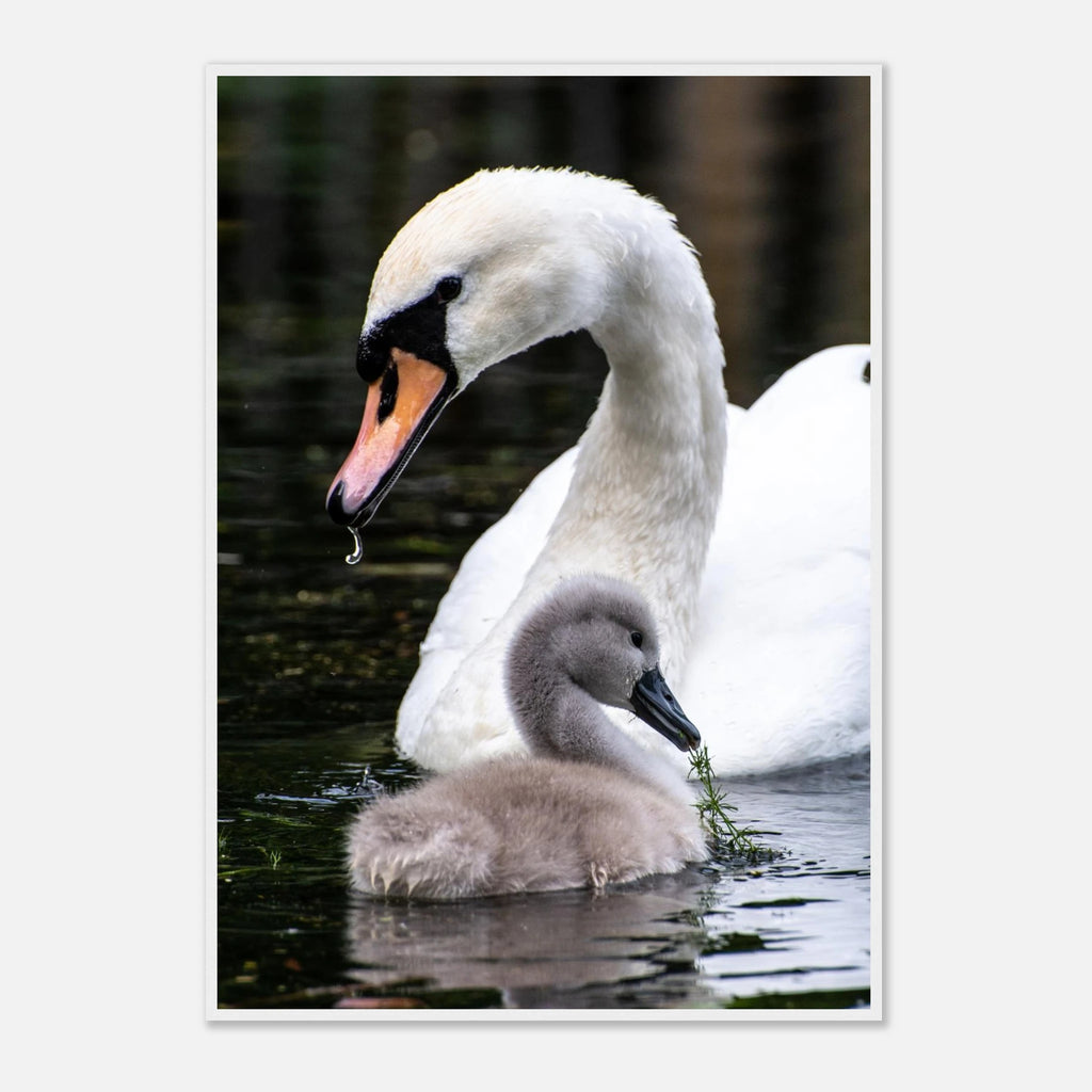 4cb22e36-a0a4-4ee0-a71f-73db23cd8aeb