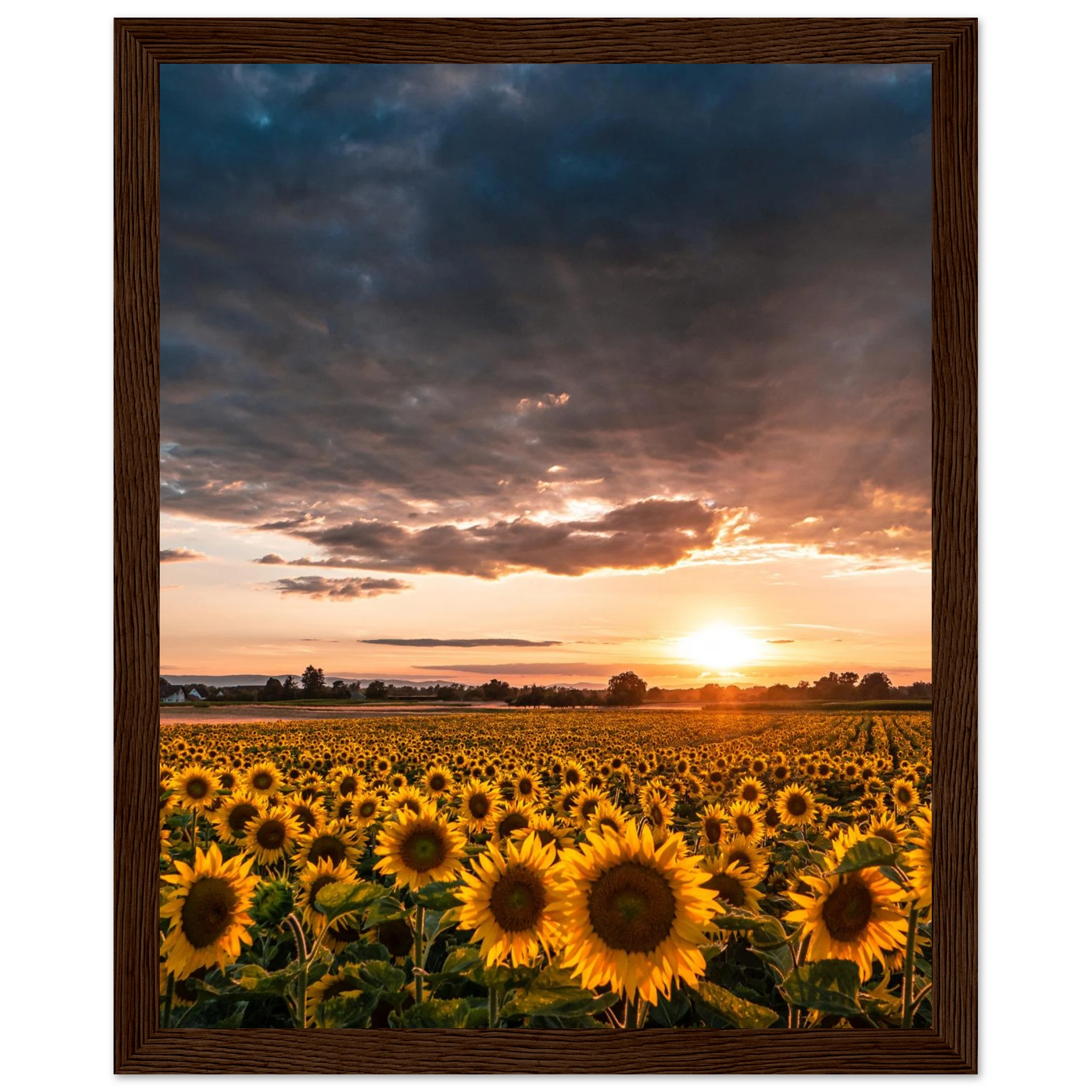 4cbba796-a8b9-466d-8a9d-aa130c6475db