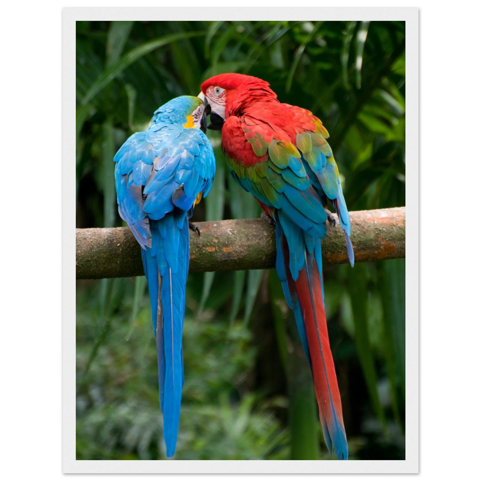 4cbd6ee8-1f69-4b53-bdbf-1dde98ba2feb