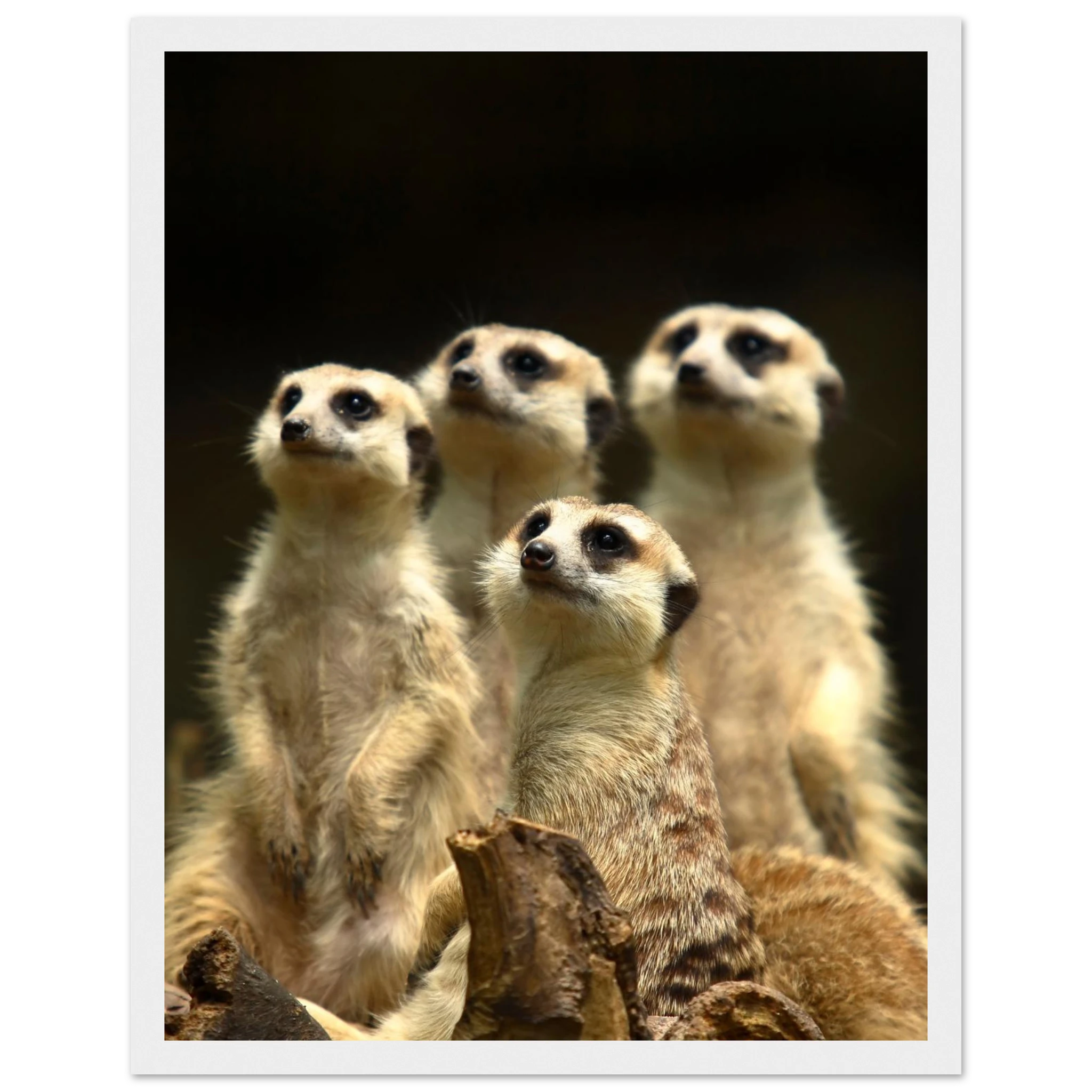 4cc7d28a-ea99-4ce7-b870-3256dd6dcf7f