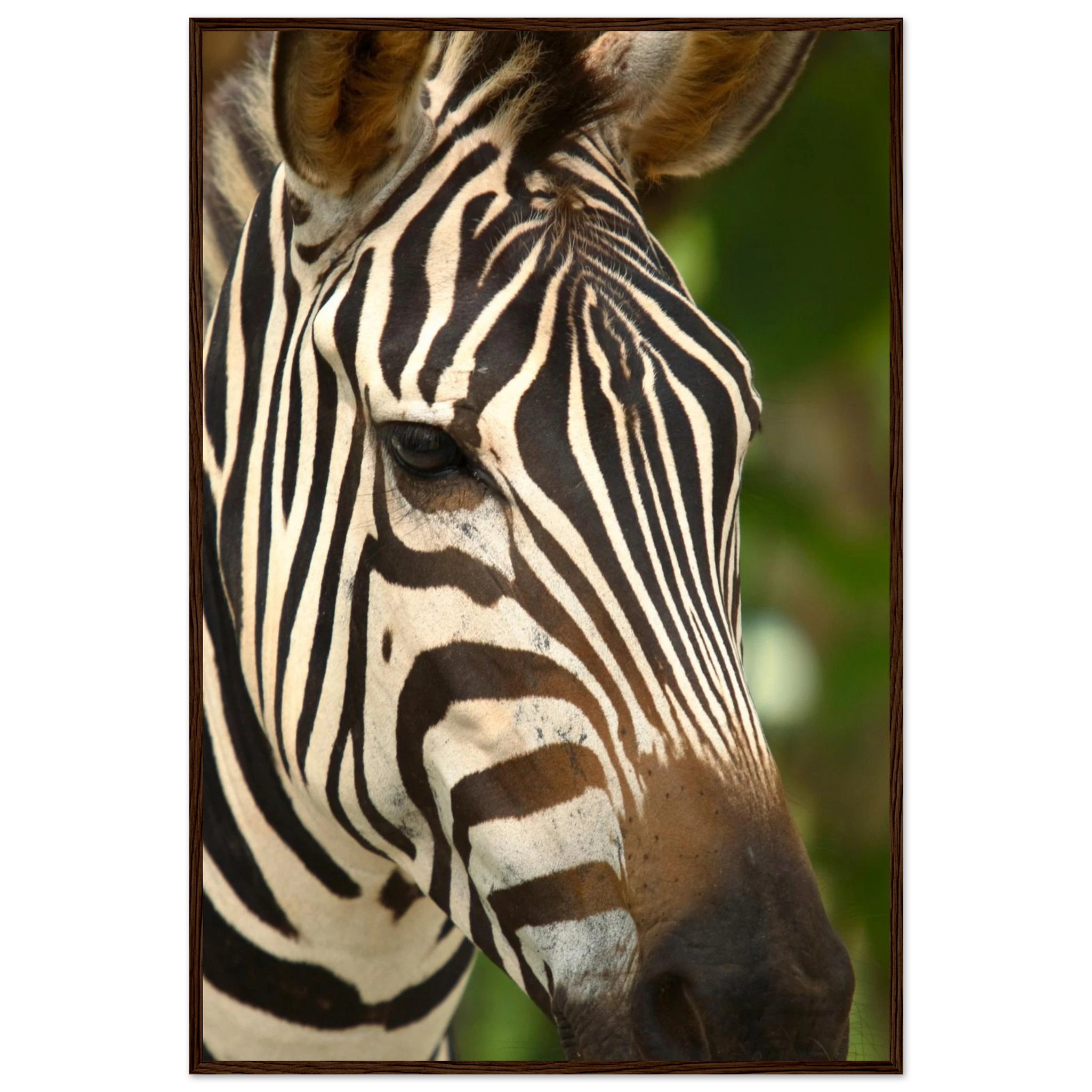 4ce65d86-4d41-4f03-b58e-8d89a0842d5b