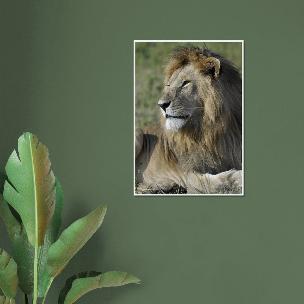 4ceefcce-cec6-4d3f-bf2f-8b520a82bfe4