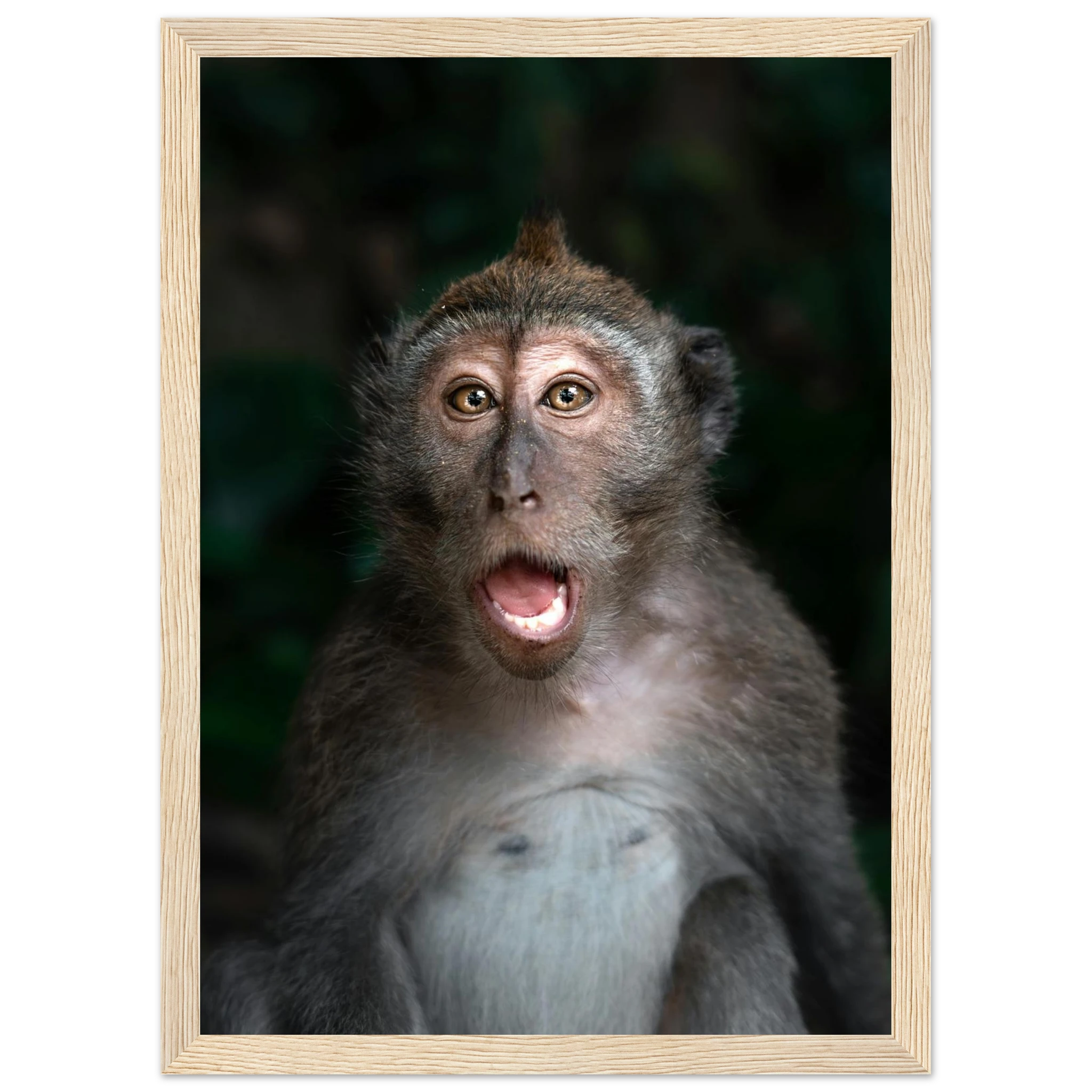 4d0d2ea3-f8ee-4bc0-9b7b-51d903e3c7e1