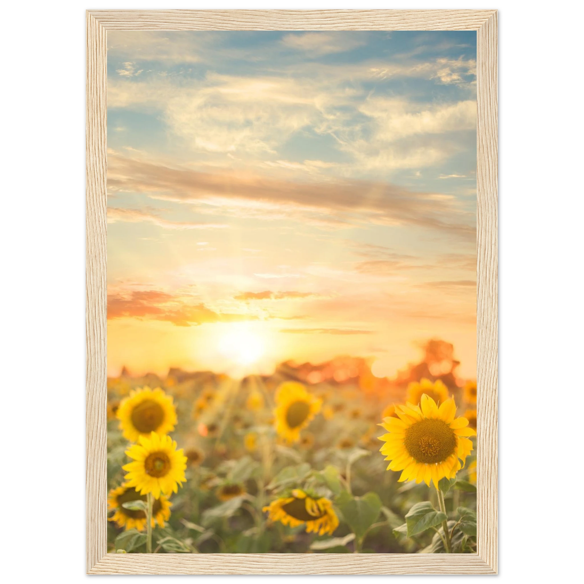 4d0dbee8-157c-4b84-91c4-2fea9a50613a