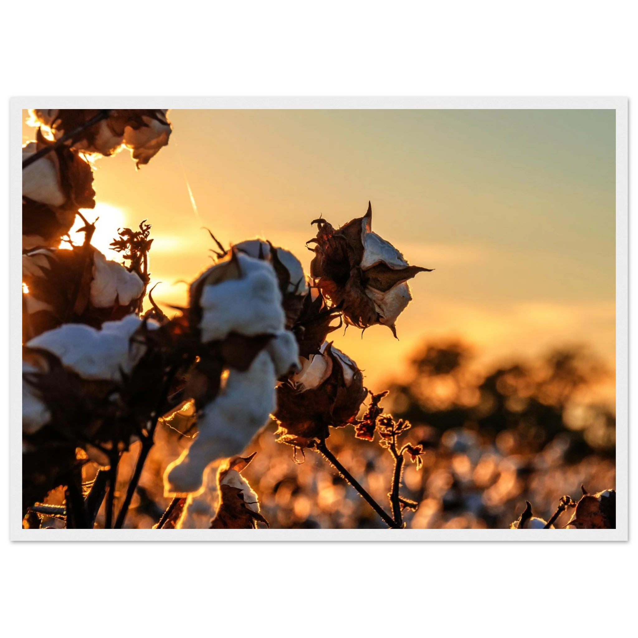 4d1b50d3-670d-44f1-857b-7325dd592041