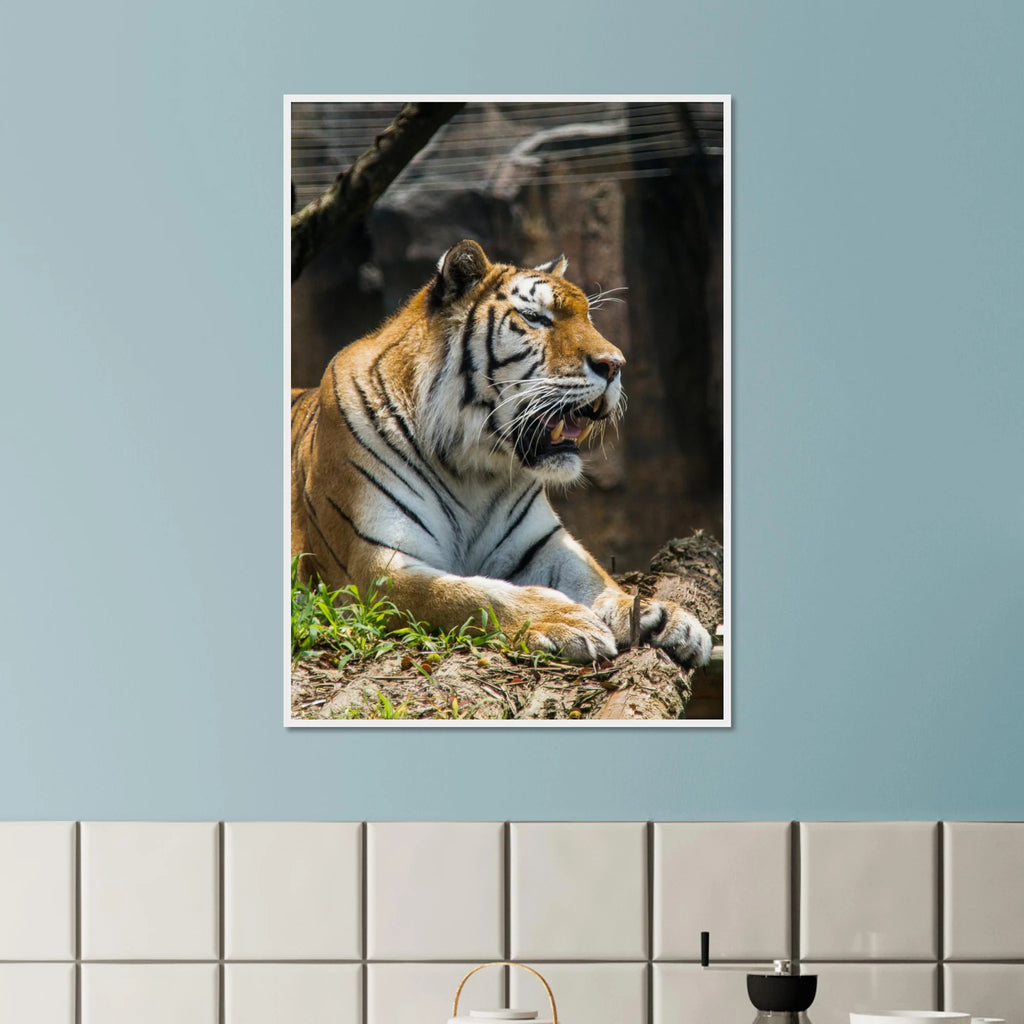 4d1ba6c9-b8f2-4dc4-a804-74c11761d498