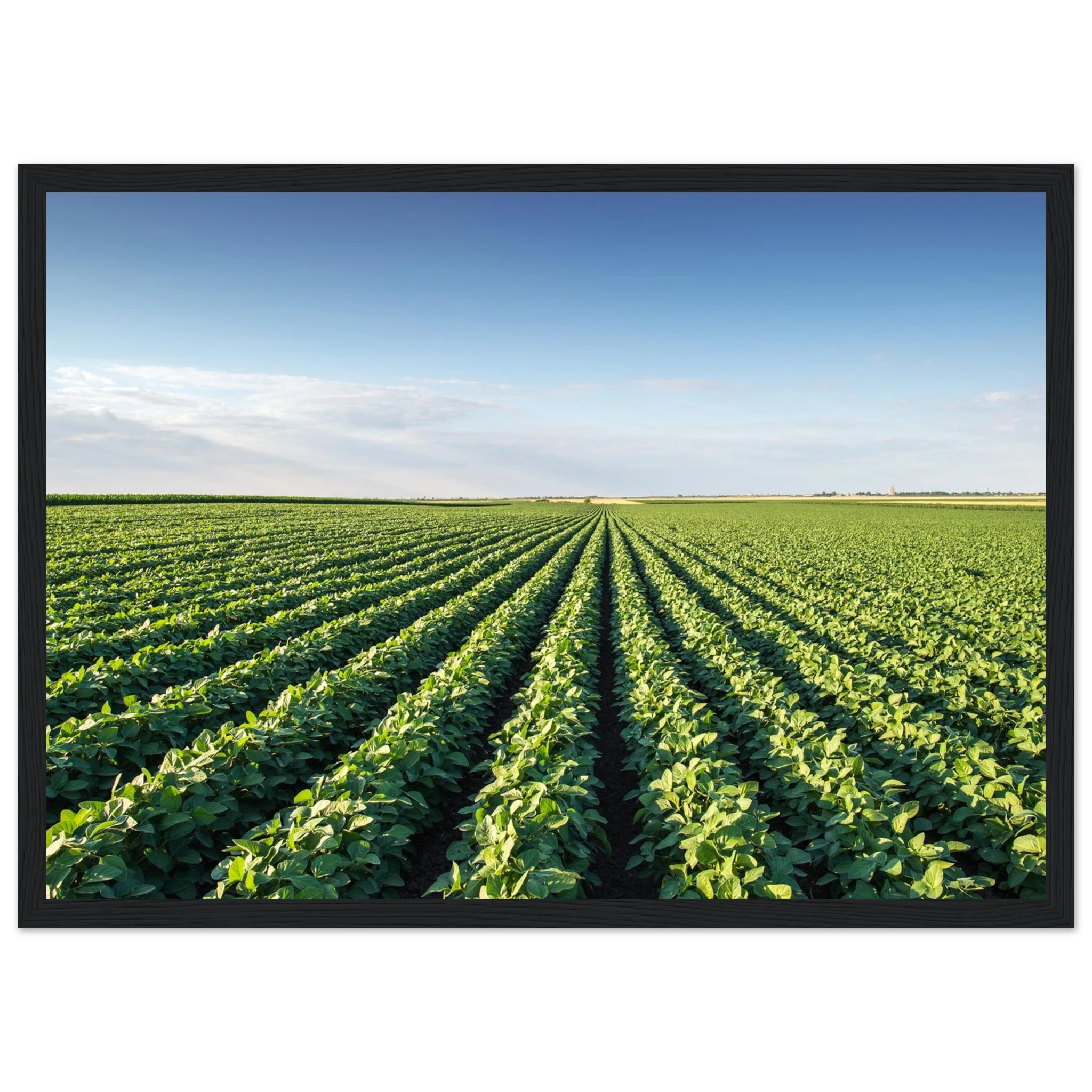 4d1f4484-05ff-4b06-b610-531d48251718