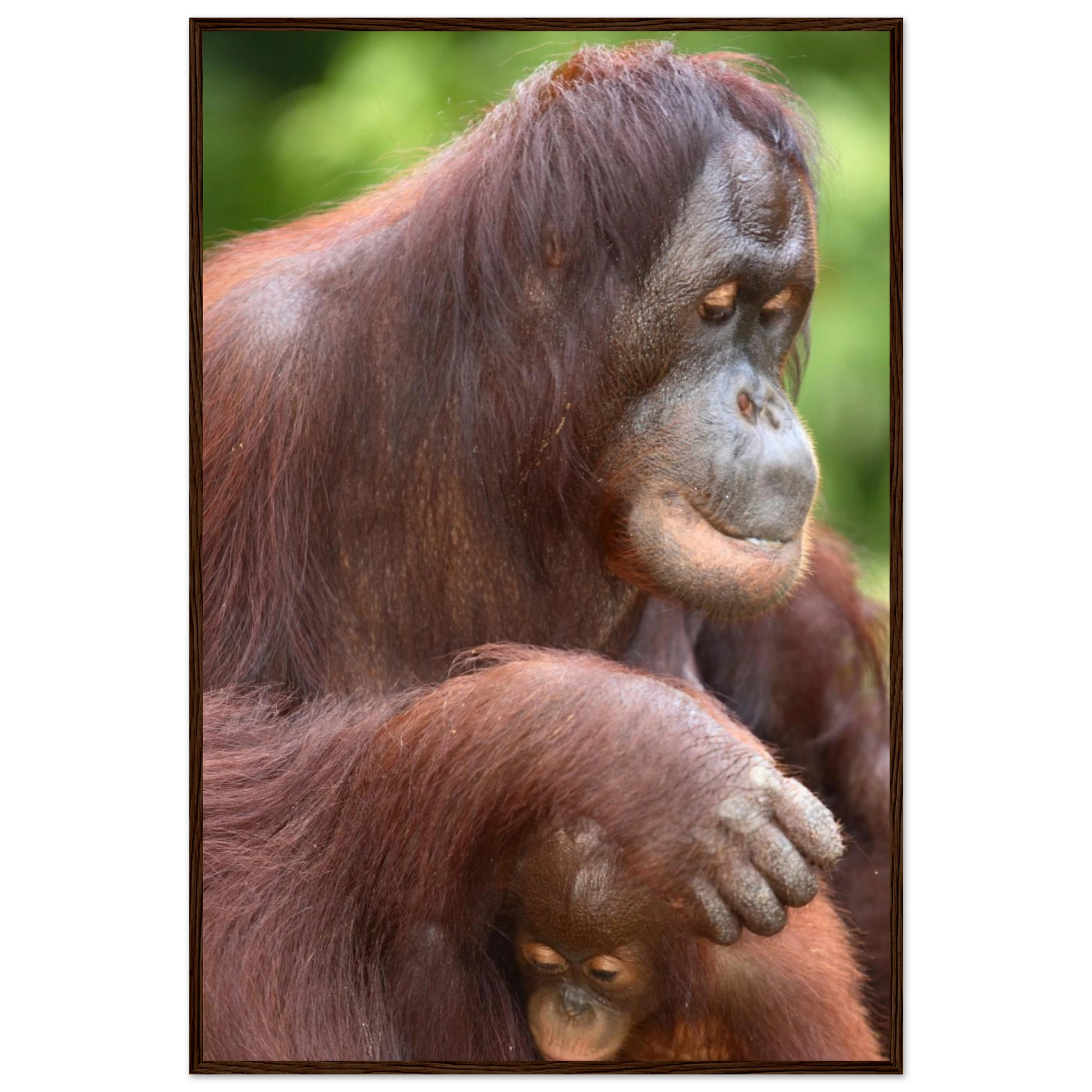 4d616396-4ca1-4512-a150-09855c06b1f1