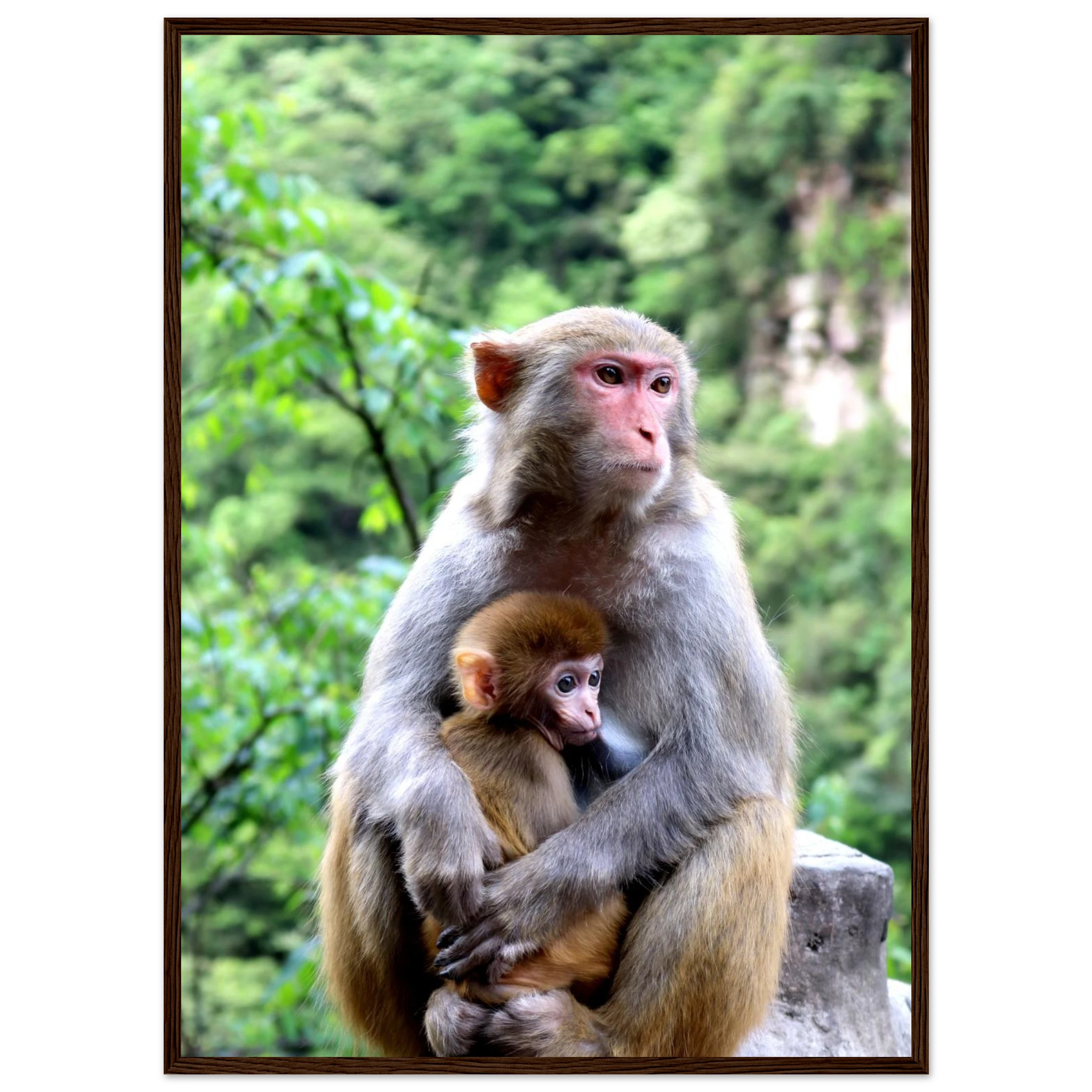 4d625044-e0ab-40ed-8761-9303c8237bb6