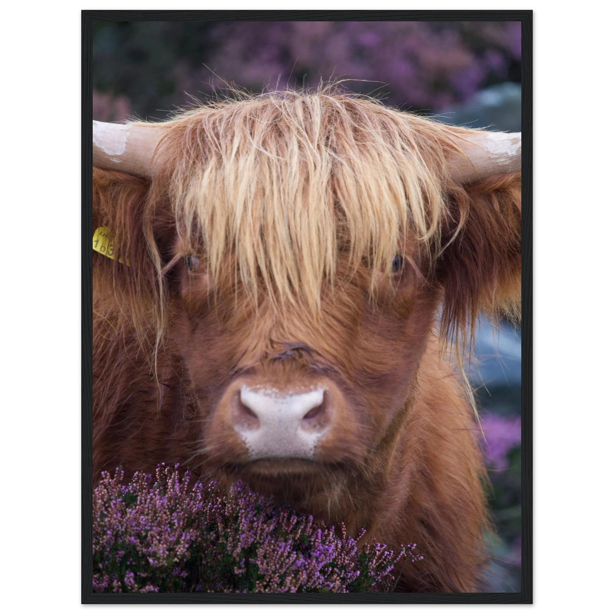 4d65057d-4769-4315-9b04-9e48ef4e346d