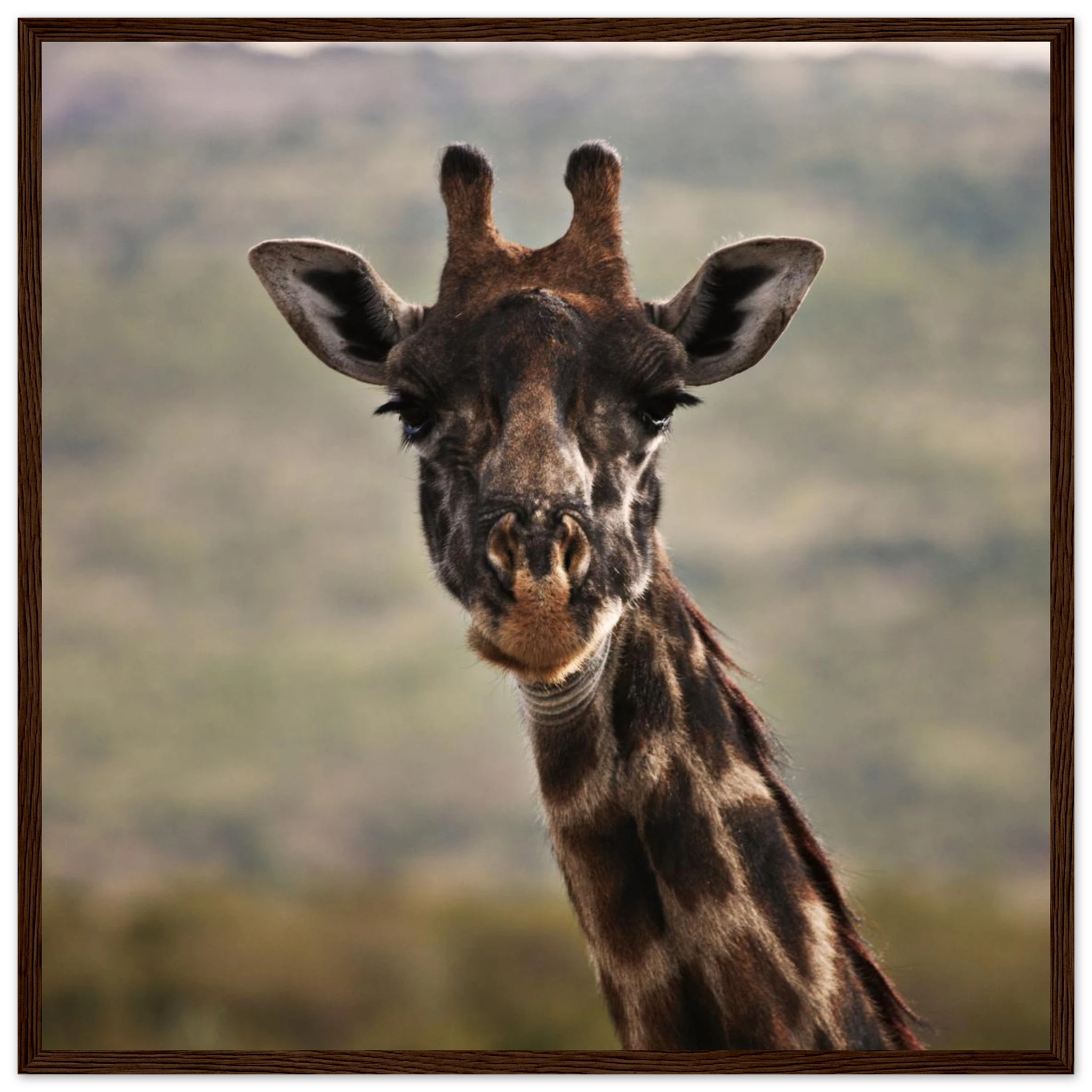 4d6f6eaa-540f-4800-8c46-53e2a9fca3b7