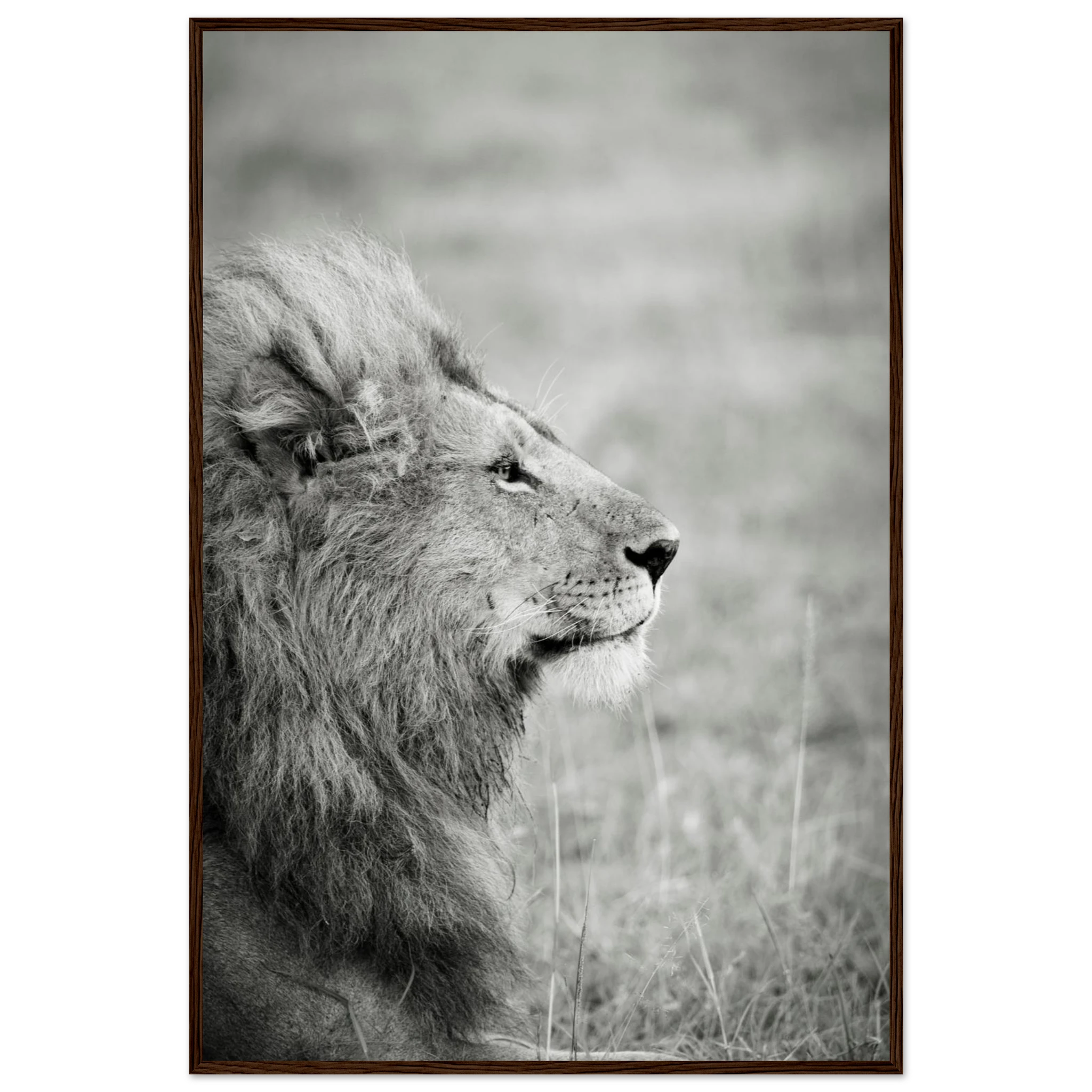 4d6f7bbc-ce34-4289-ab29-aa069d2cf2ba