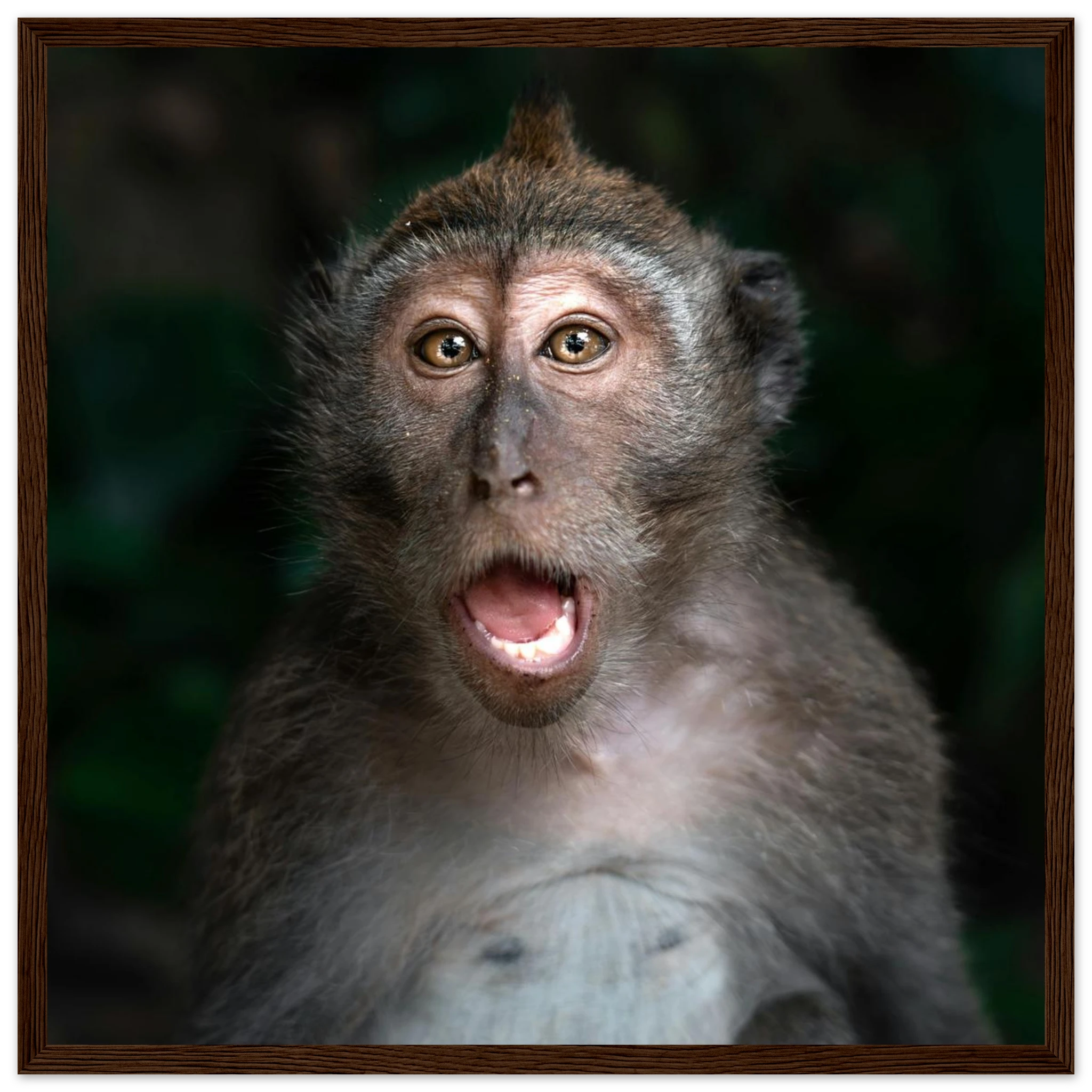 4d79f2e4-9cb9-41e9-9407-6ca8438d768e