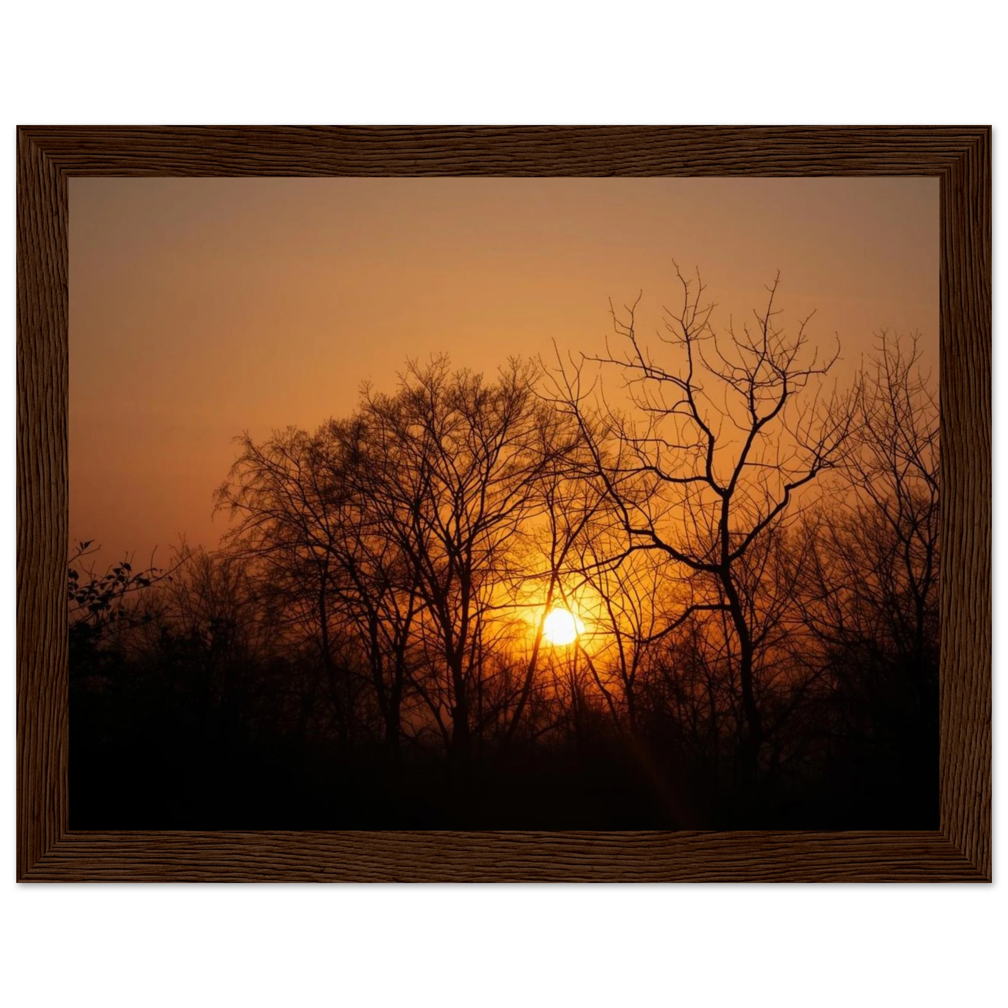 4d7ecc1f-8563-4ef8-99f9-60abeb8bd319