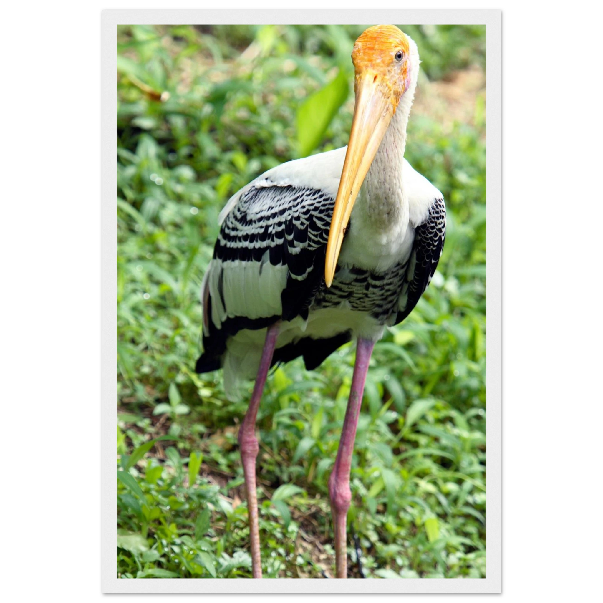 4d82482e-0b3b-4098-9c6e-73817a1f05cd