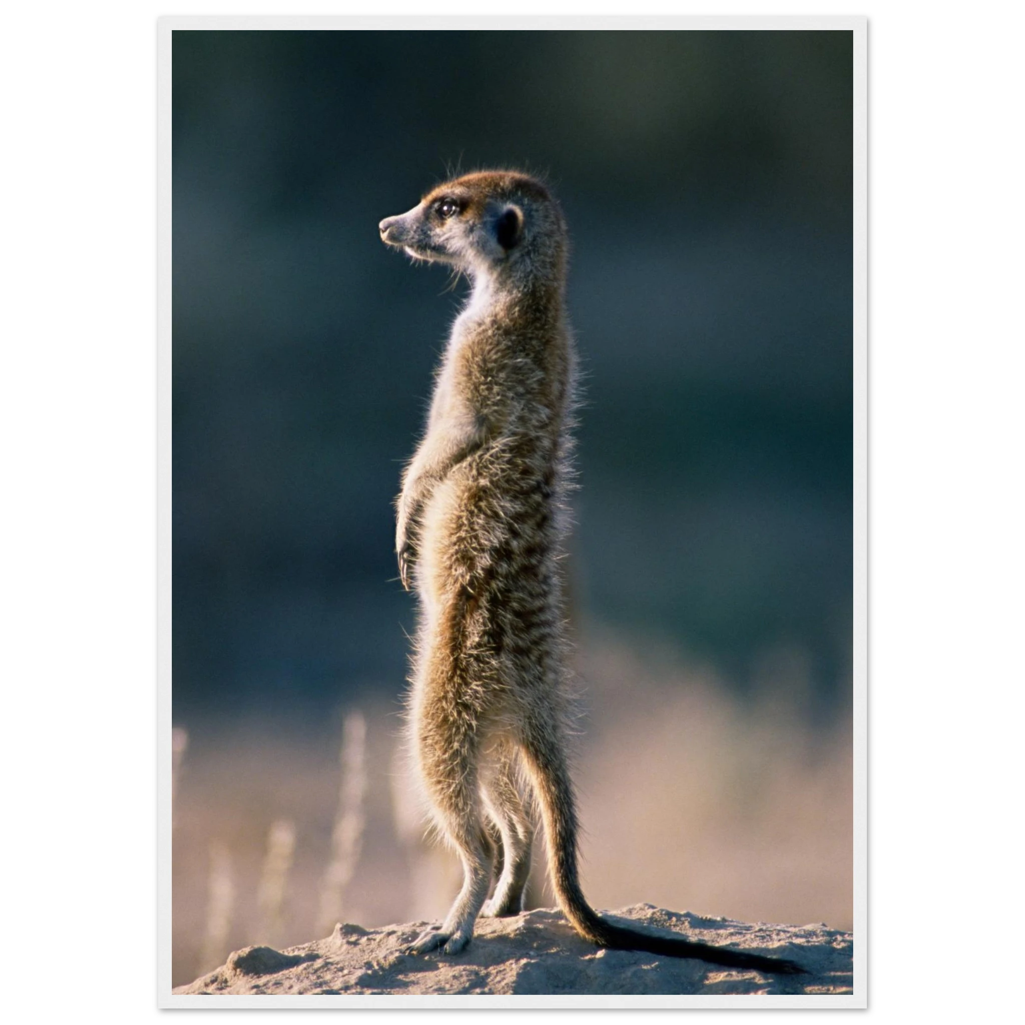 4d9b0d37-eae9-497b-a361-e0caf322c329