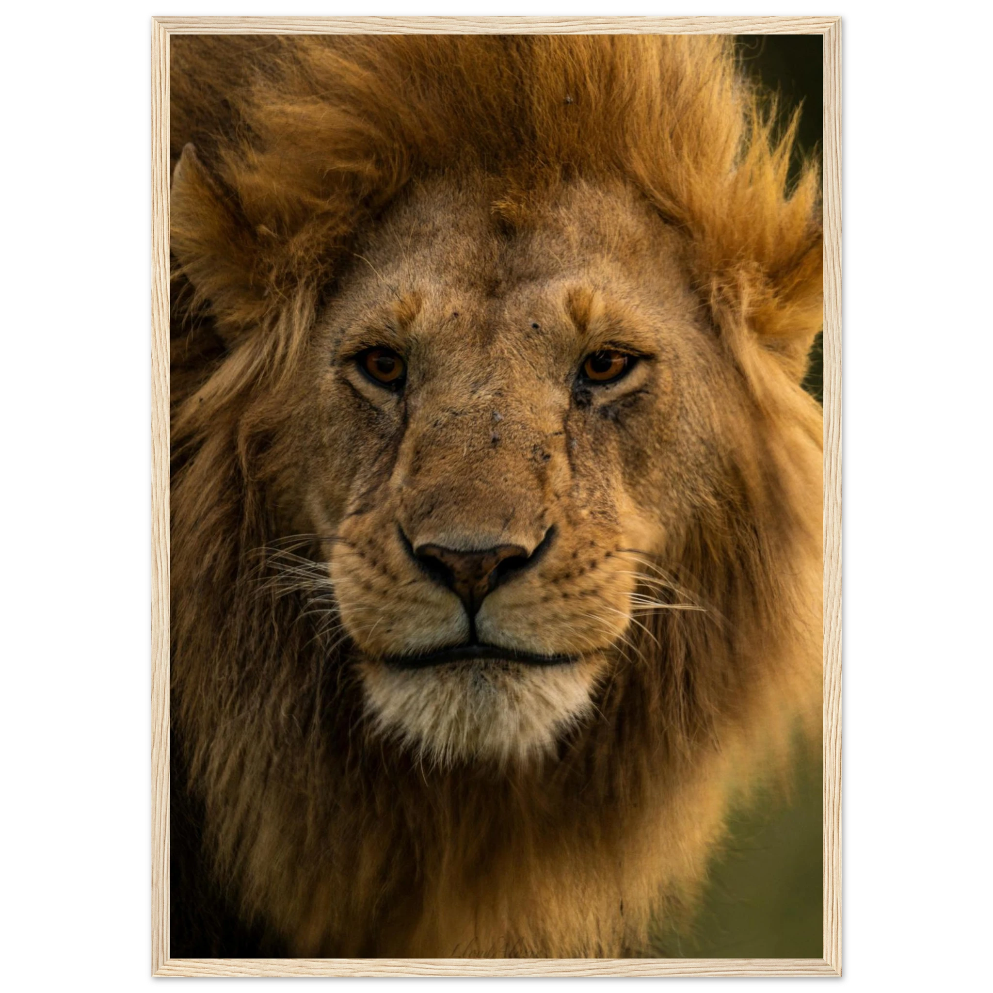 4da6a73b-66b5-41f8-84cc-c143d8c2ebac