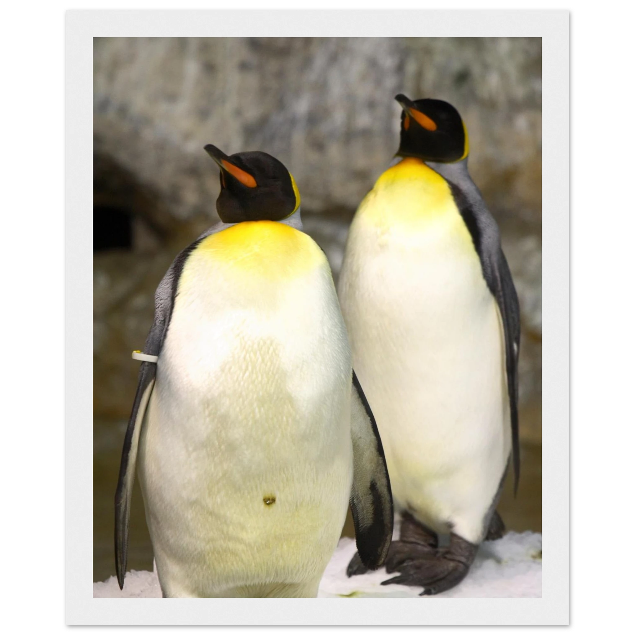 4da7647f-7e18-4614-a633-2b6a8ea089fd